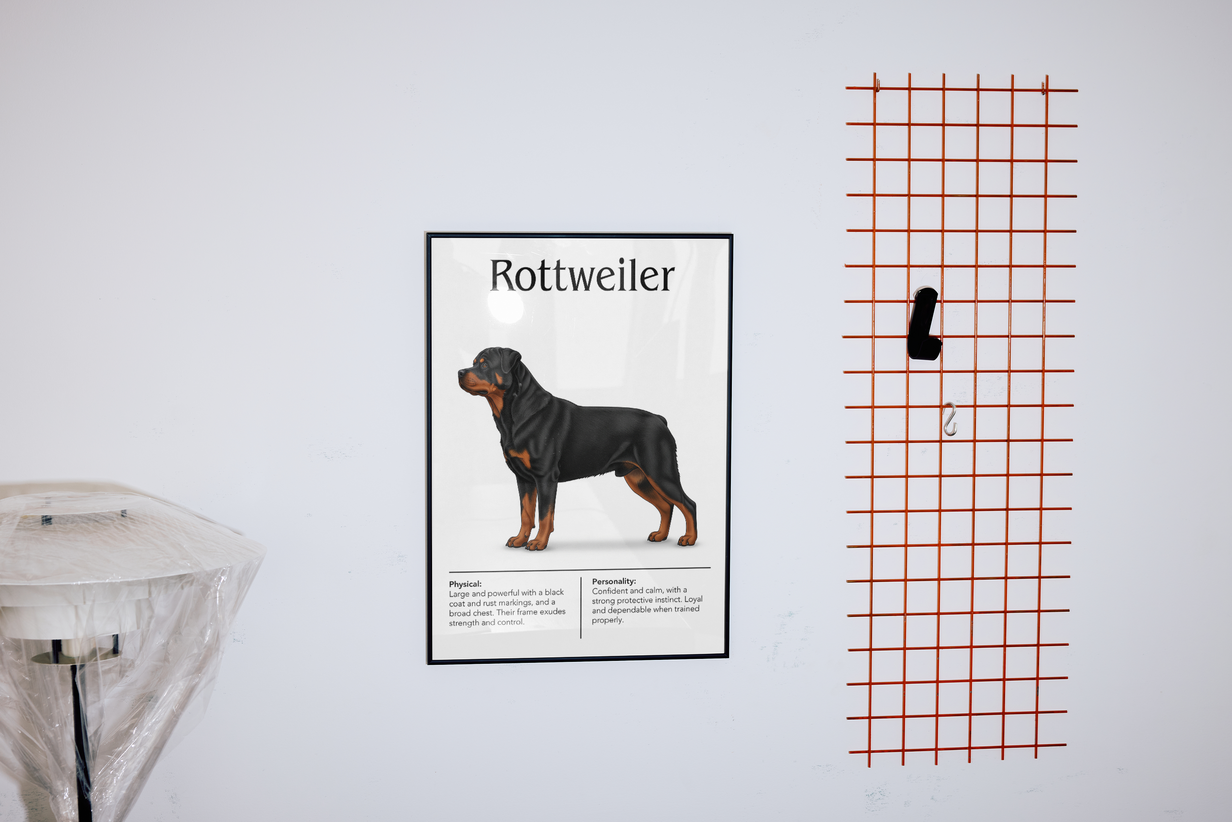 A black-framed poster of a Rottweiler hanging on a white wall in a garage or utility space, next to an orange wire mesh grid.