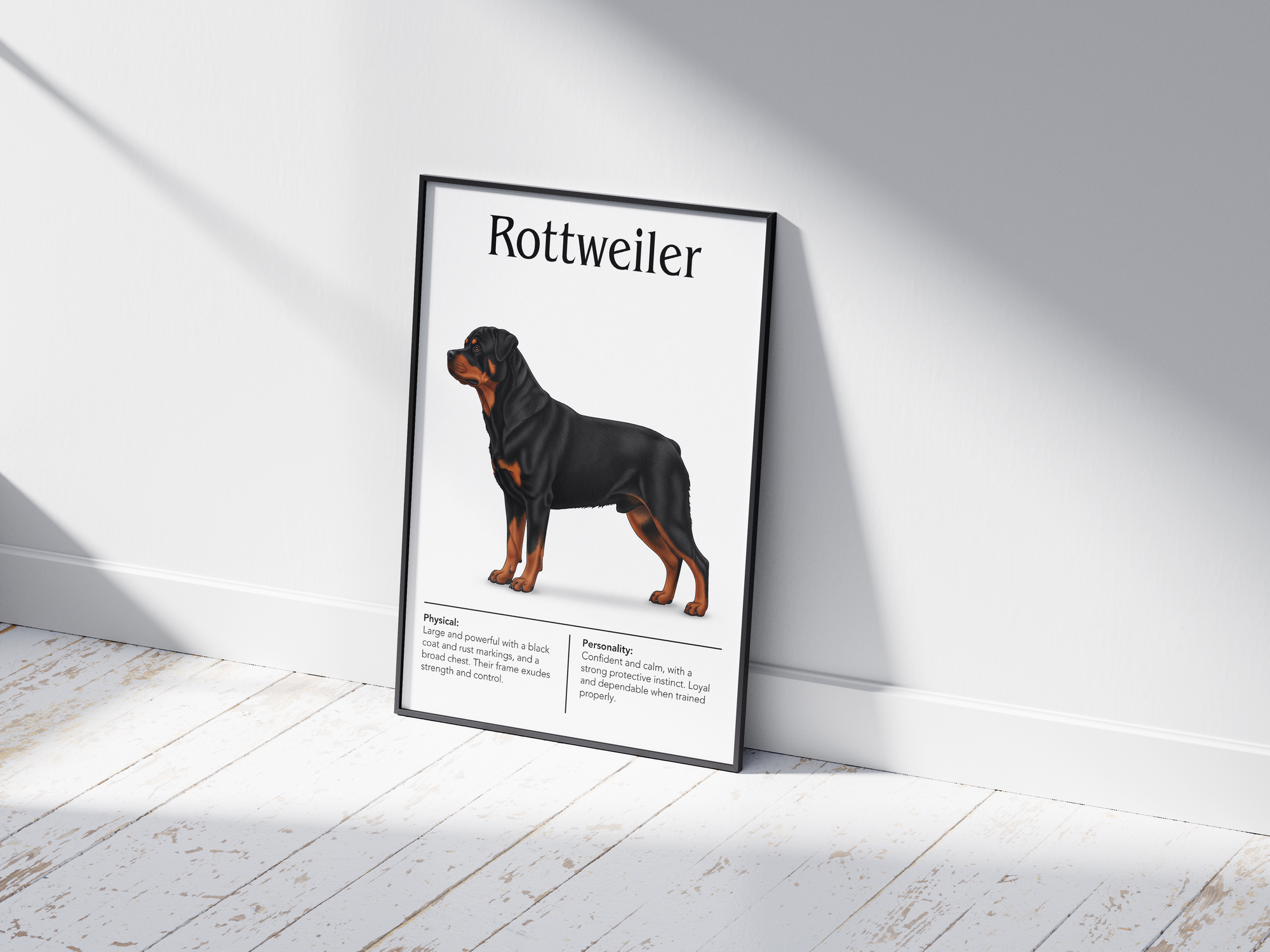 Detailed Rottweiler dog breed poster showcasing its robust build and courageous, loyal personality traits, printed on semi-gloss sustainable paper. Perfect wall art for studies, living rooms, or modern interiors with a powerful and dignified aesthetic.