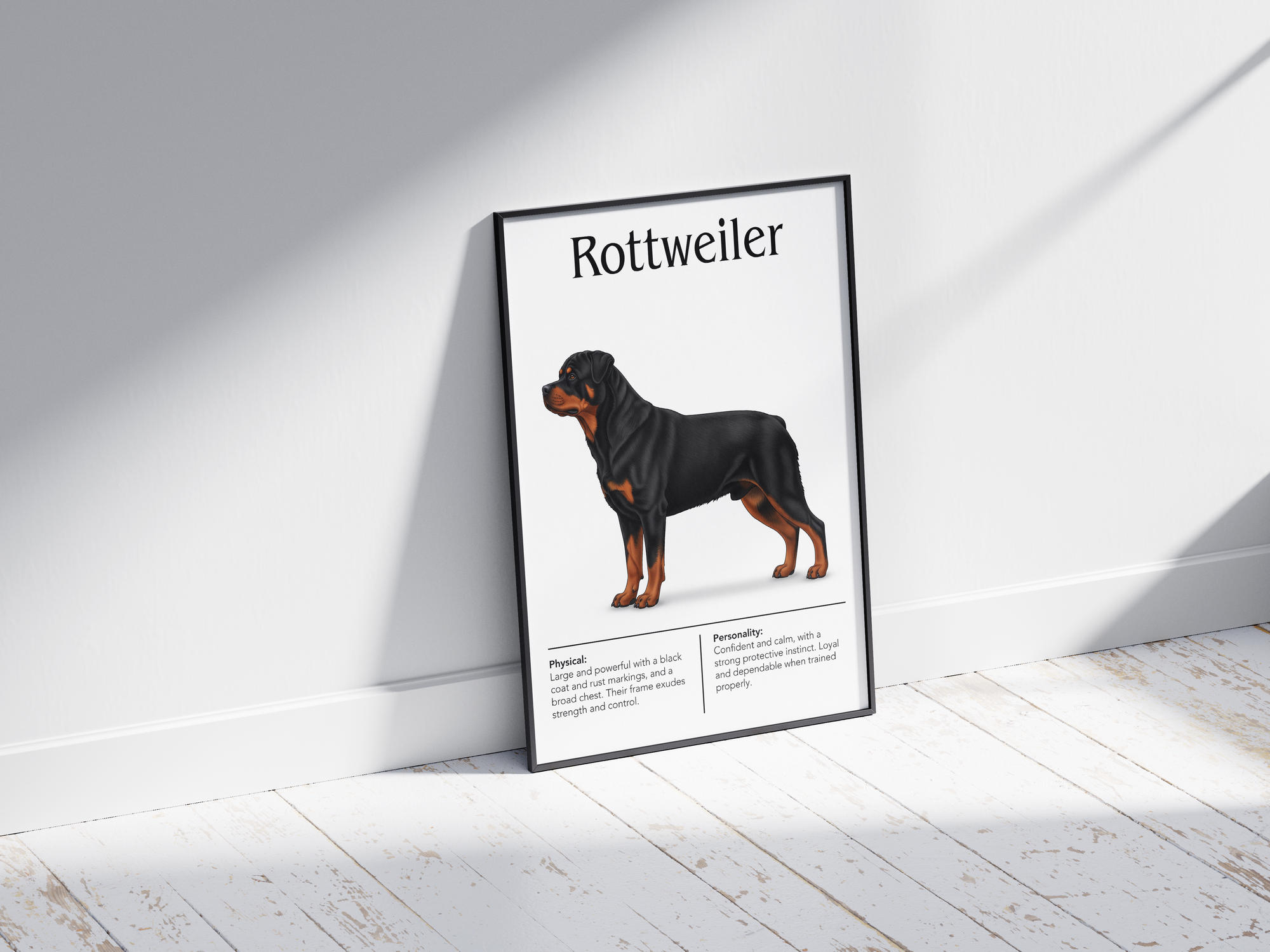 Detailed Rottweiler dog breed poster showcasing its robust build and courageous, loyal personality traits, printed on semi-gloss sustainable paper. Perfect wall art for studies, living rooms, or modern interiors with a powerful and dignified aesthetic.