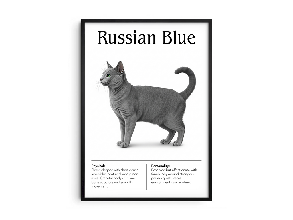 Minimalist Russian Blue cat breed poster featuring a detailed illustration of the cat's shimmering blue-gray coat and emerald eyes, printed on semi-gloss sustainable paper. Perfect wall art for modern living rooms, studies, or elegant interiors with a calm and sophisticated aesthetic.