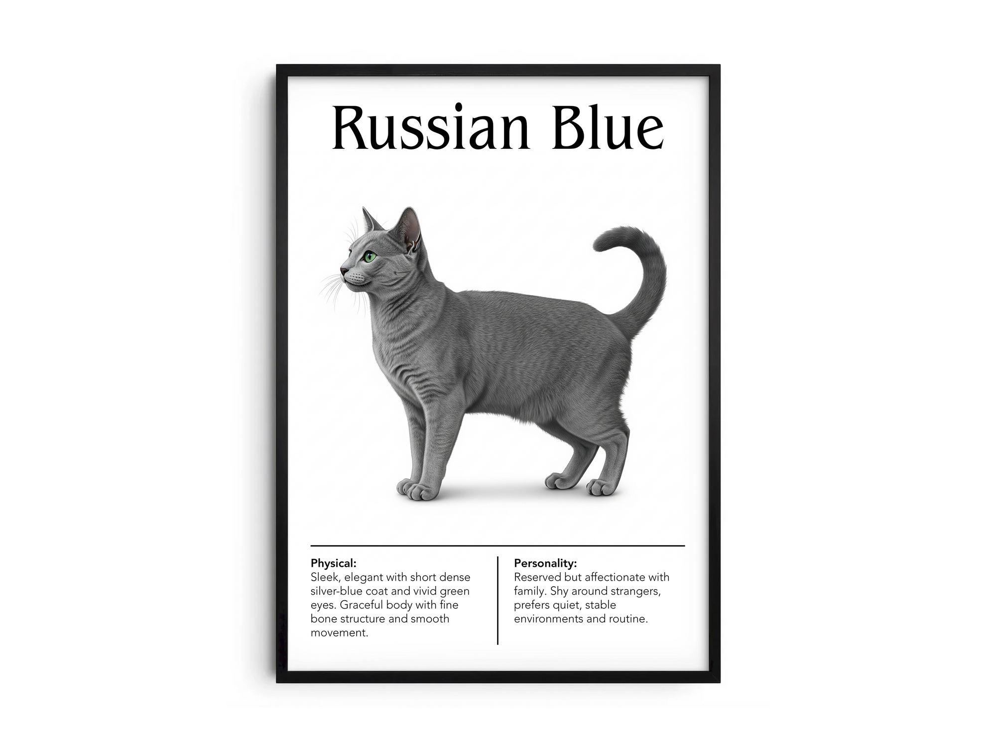 Minimalist Russian Blue cat breed poster featuring a detailed illustration of the cat's shimmering blue-gray coat and emerald eyes, printed on semi-gloss sustainable paper. Perfect wall art for modern living rooms, studies, or elegant interiors with a calm and sophisticated aesthetic.