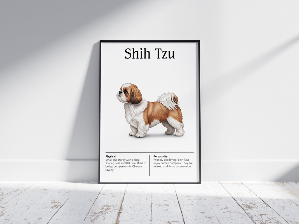 Detailed Shih Tzu dog breed poster showcasing its luxurious flowing coat and charming, affectionate personality traits, printed on semi-gloss sustainable paper. Perfect wall art for living rooms, bedrooms, or modern interiors with an elegant and whimsical aesthetic.