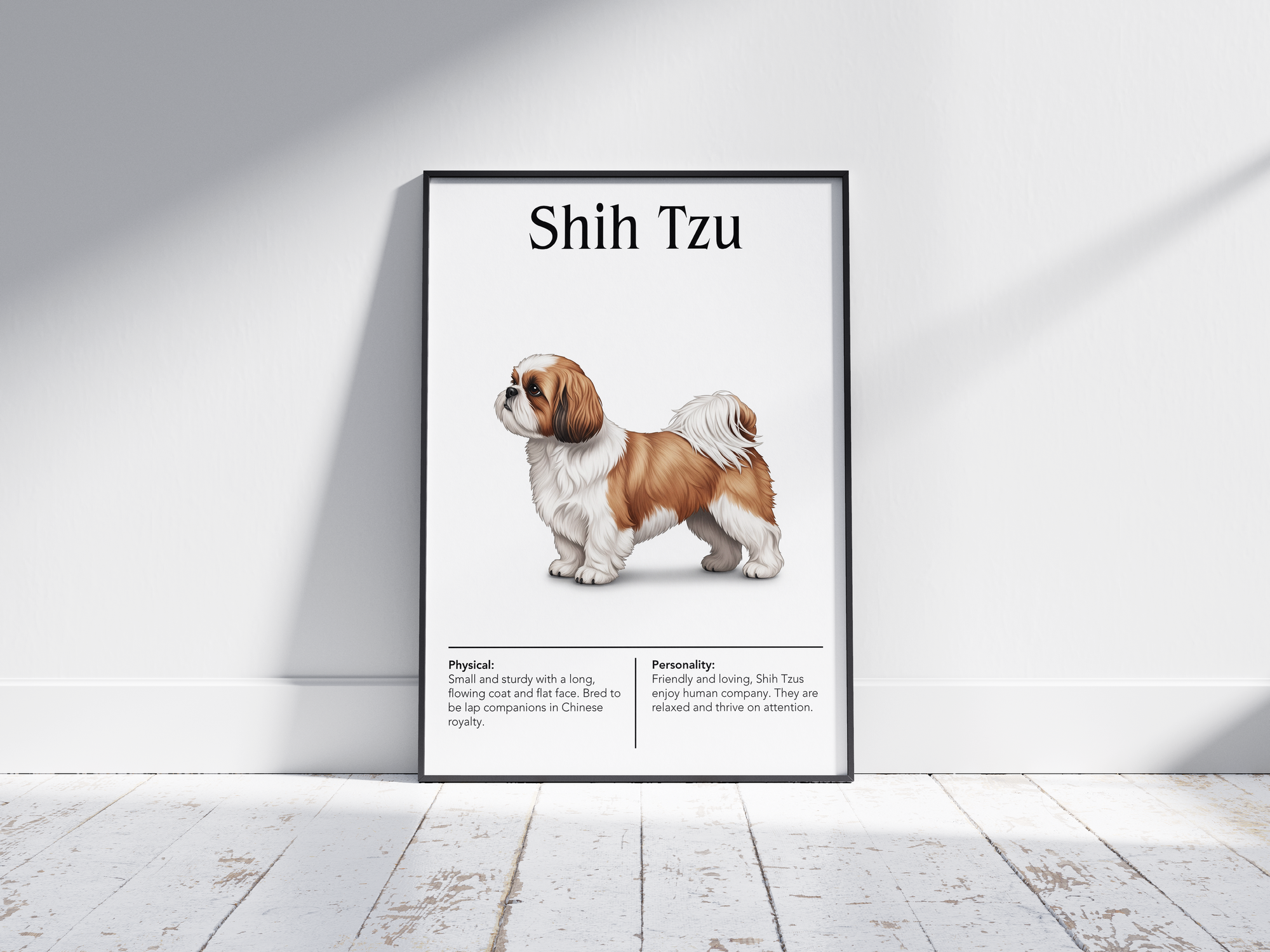 Detailed Shih Tzu dog breed poster showcasing its luxurious flowing coat and charming, affectionate personality traits, printed on semi-gloss sustainable paper. Perfect wall art for living rooms, bedrooms, or modern interiors with an elegant and whimsical aesthetic.