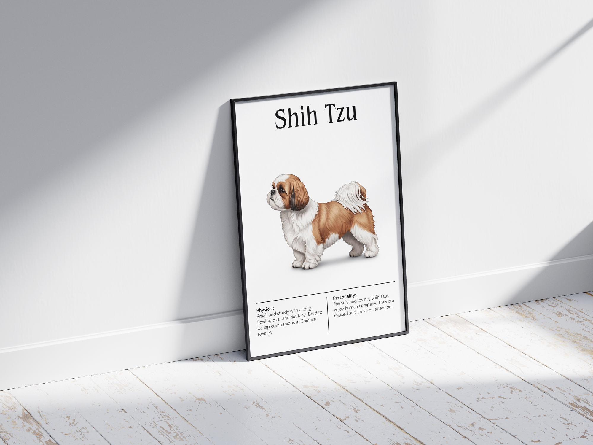 Detailed Shih Tzu dog breed poster showcasing its luxurious flowing coat and charming, affectionate personality traits, printed on semi-gloss sustainable paper. Perfect wall art for living rooms, bedrooms, or modern interiors with an elegant and whimsical aesthetic.