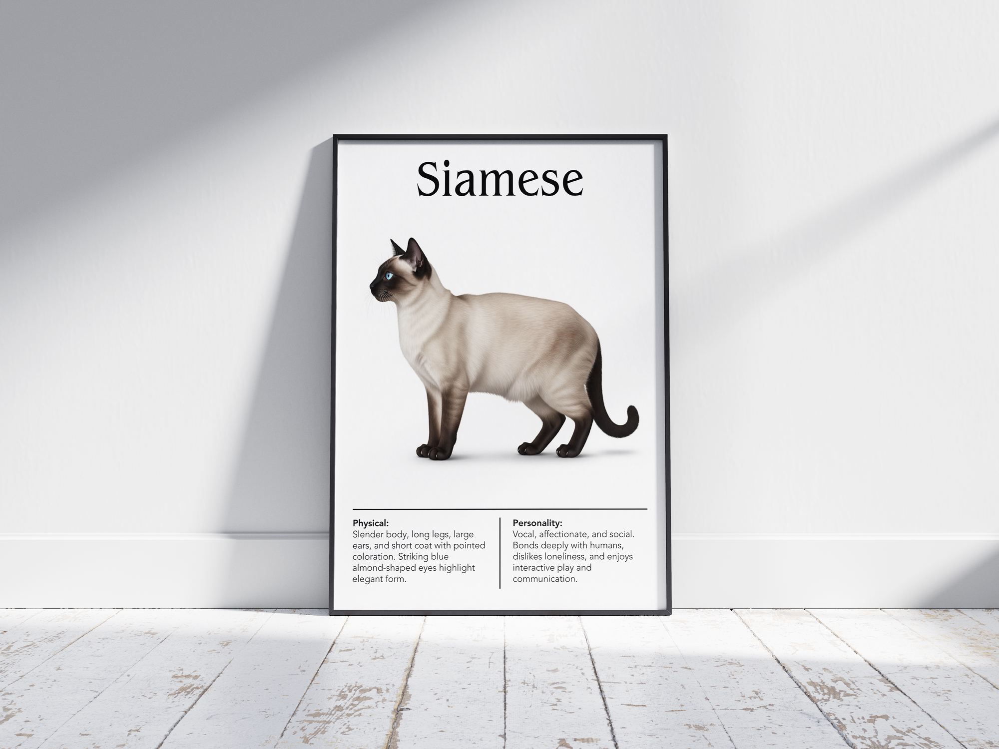 Elegant Siamese cat breed poster featuring a detailed illustration of its sleek body, striking blue eyes, and pointed color pattern, printed on semi-gloss sustainable paper. Perfect wall art for modern living rooms, studies, or sophisticated interiors with an exotic and graceful aesthetic.