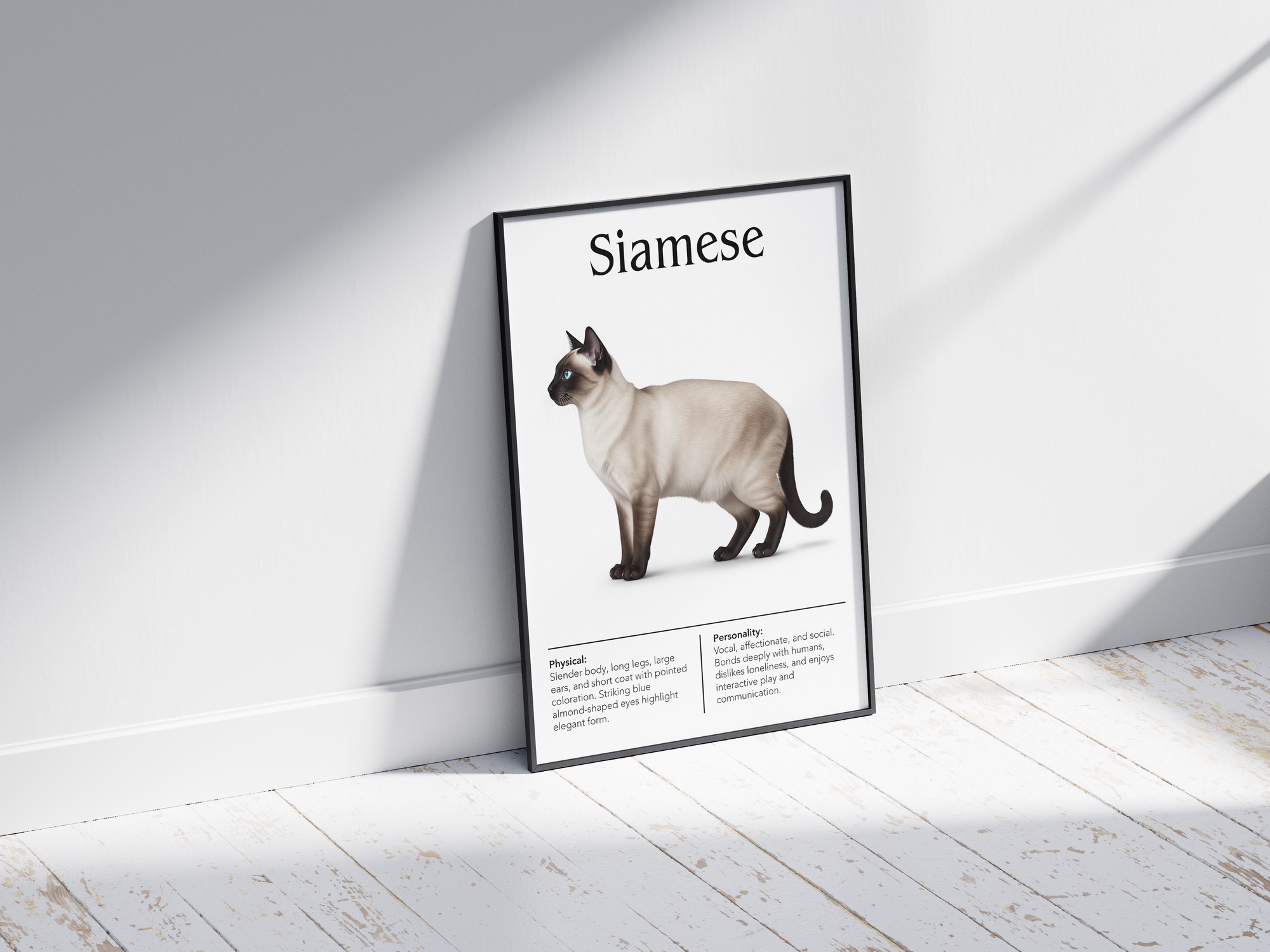 Elegant Siamese cat breed poster featuring a detailed illustration of its sleek body, striking blue eyes, and pointed color pattern, printed on semi-gloss sustainable paper. Perfect wall art for modern living rooms, studies, or sophisticated interiors with an exotic and graceful aesthetic.