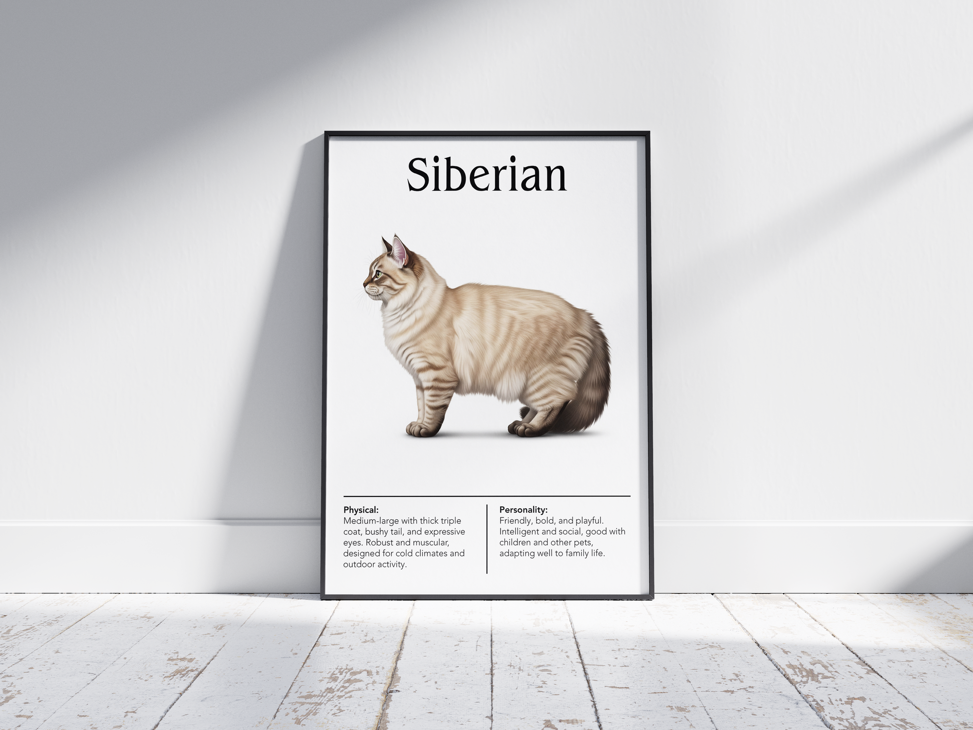 Majestic Siberian cat breed poster featuring a detailed illustration of its lush, triple-layered coat and expressive eyes, printed on semi-gloss sustainable paper. Perfect wall art for cozy living rooms, studies, or natural-themed interiors with a rustic and affectionate aesthetic.