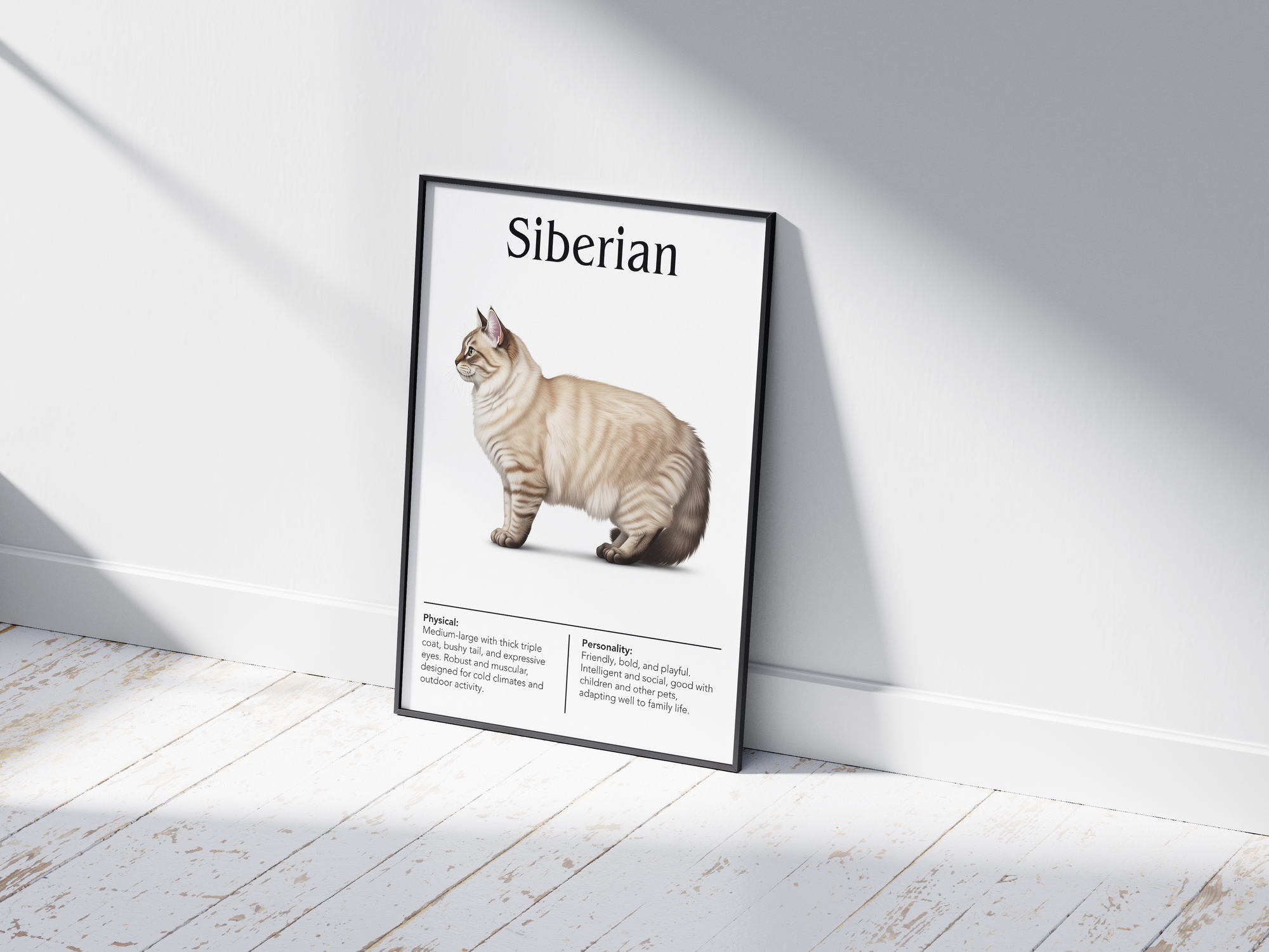 Majestic Siberian cat breed poster featuring a detailed illustration of its lush, triple-layered coat and expressive eyes, printed on semi-gloss sustainable paper. Perfect wall art for cozy living rooms, studies, or natural-themed interiors with a rustic and affectionate aesthetic.