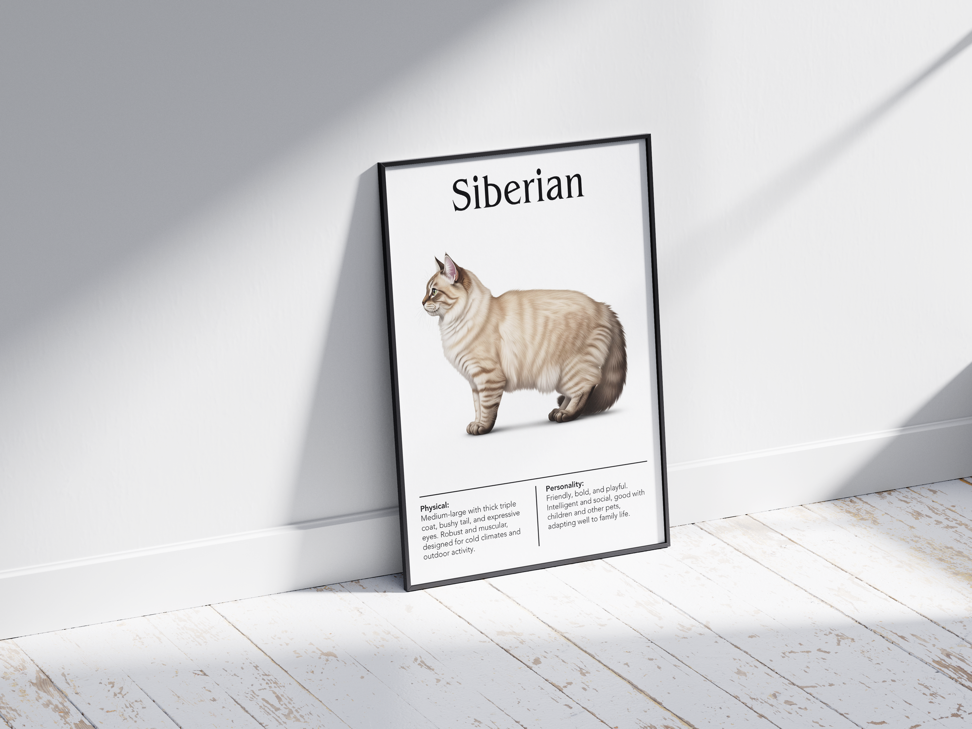 Majestic Siberian cat breed poster featuring a detailed illustration of its lush, triple-layered coat and expressive eyes, printed on semi-gloss sustainable paper. Perfect wall art for cozy living rooms, studies, or natural-themed interiors with a rustic and affectionate aesthetic.