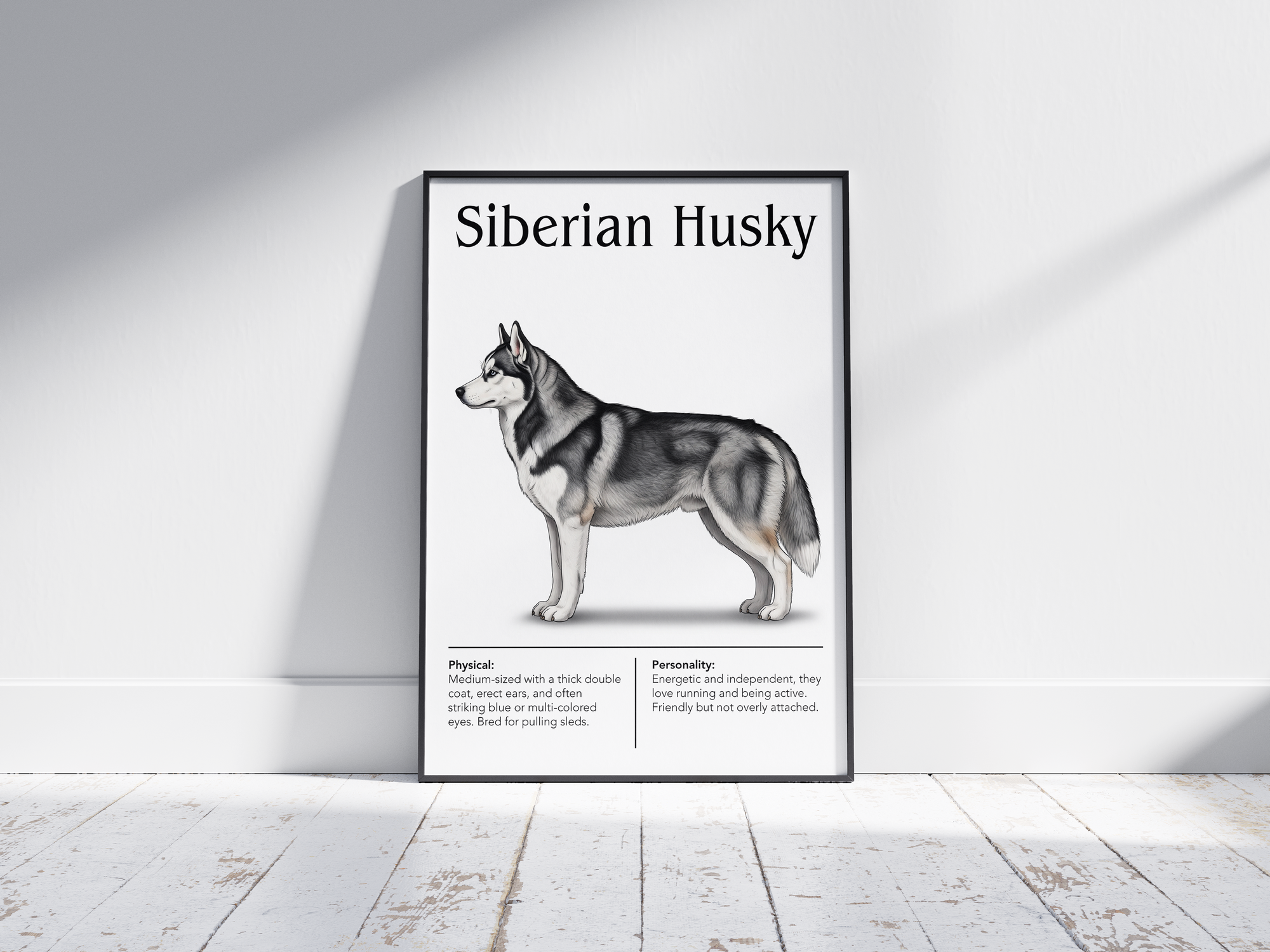 Detailed Siberian Husky dog breed poster showcasing its striking features and energetic, independent personality traits, printed on semi-gloss sustainable paper. Perfect wall art for living rooms, studies, or modern interiors with an adventurous and wild aesthetic.