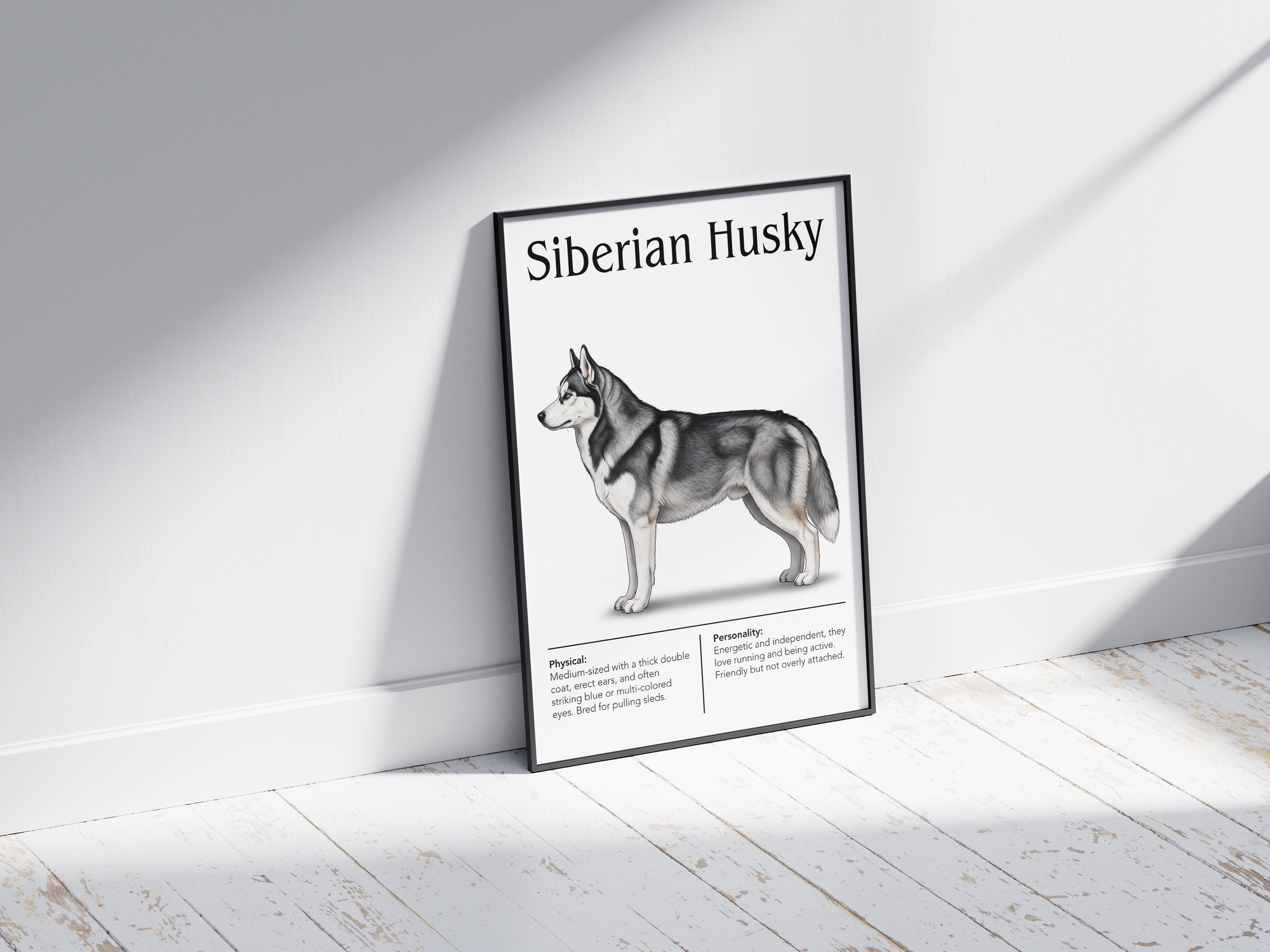 Detailed Siberian Husky dog breed poster showcasing its striking features and energetic, independent personality traits, printed on semi-gloss sustainable paper. Perfect wall art for living rooms, studies, or modern interiors with an adventurous and wild aesthetic.