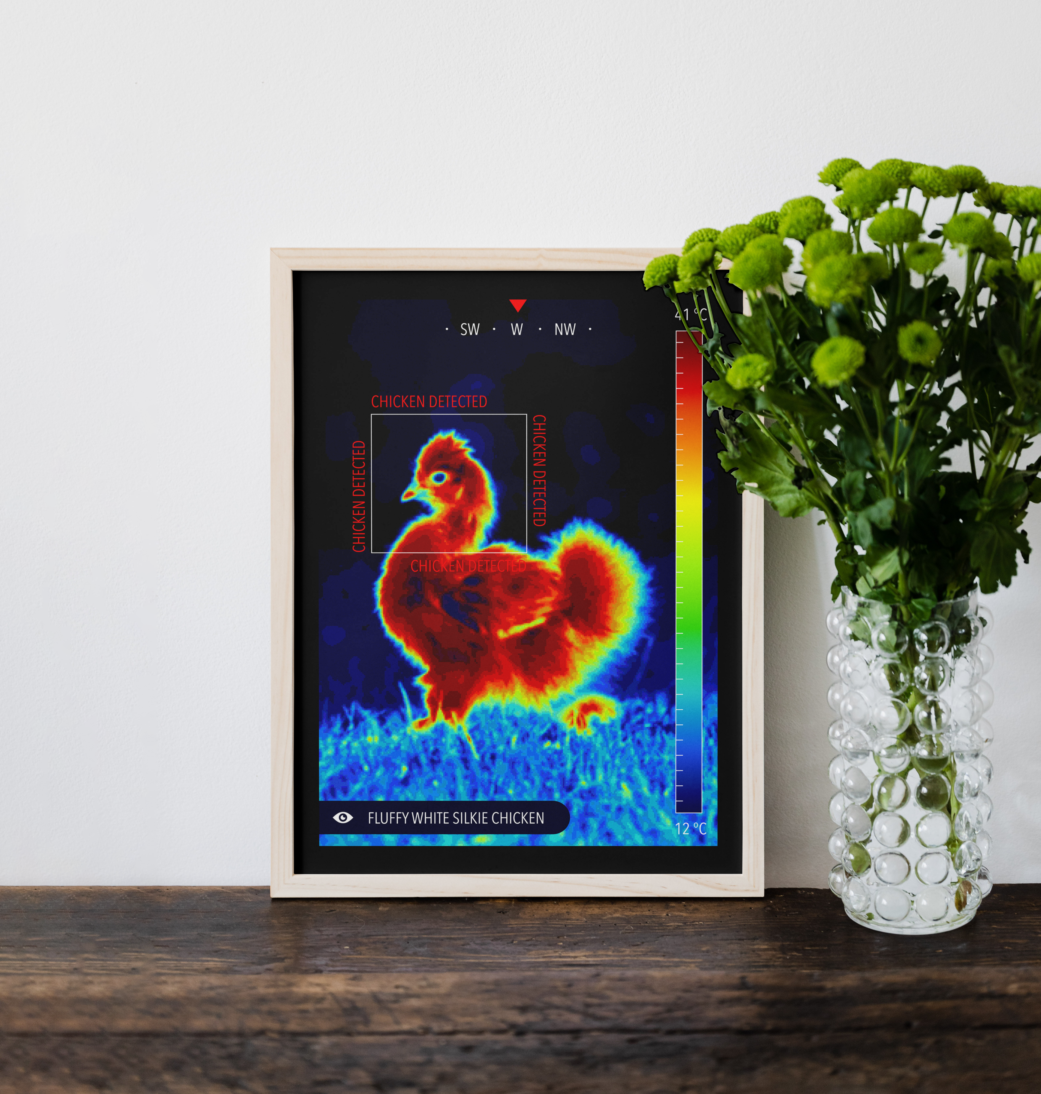 A wood-framed poster with a vibrant thermal image graphic of a Fluffy White Silkie Chicken in warm colors, resting on a dark wooden surface next to a vase of green flowers.