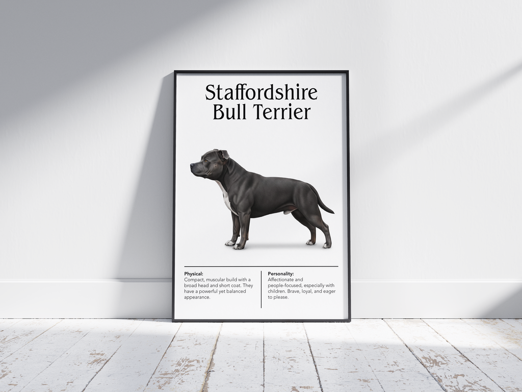 Detailed Staffordshire Bull Terrier dog breed poster showcasing its strong build and courageous, affectionate personality traits, printed on semi-gloss sustainable paper. Perfect wall art for family rooms, living rooms, or modern interiors with a robust and loving aesthetic.