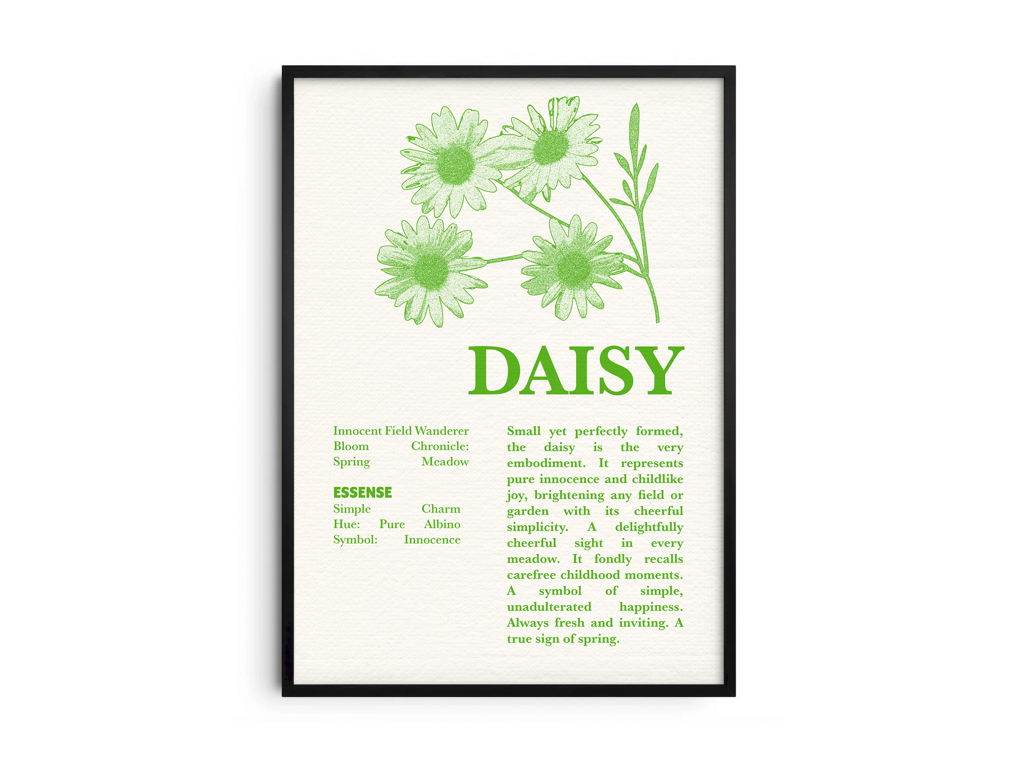 Vintage botanical daisy poster featuring a detailed flower illustration in cheerful green tones, printed on semi-gloss sustainable paper. Perfect wall art for living rooms, bedrooms, or modern interiors with a light and natural aesthetic.