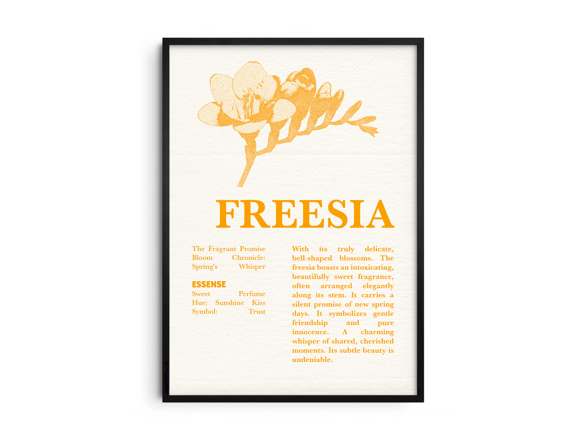 Vintage botanical freesia poster featuring a detailed flower illustration in cheerful yellow tones, printed on semi-gloss sustainable paper. Perfect wall art for living rooms, hallways, or modern interiors with a loving and natural aesthetic.