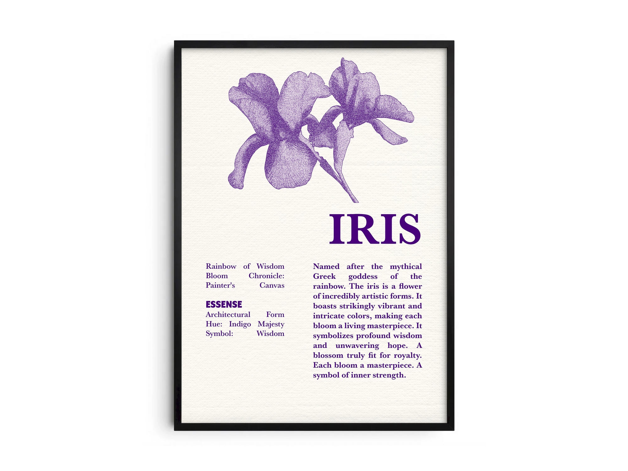 Vintage botanical iris poster featuring a detailed flower illustration in soft purple tones, printed on semi-gloss sustainable paper. Perfect wall art for living rooms, hallways, or modern interiors with a dignified and natural aesthetic.