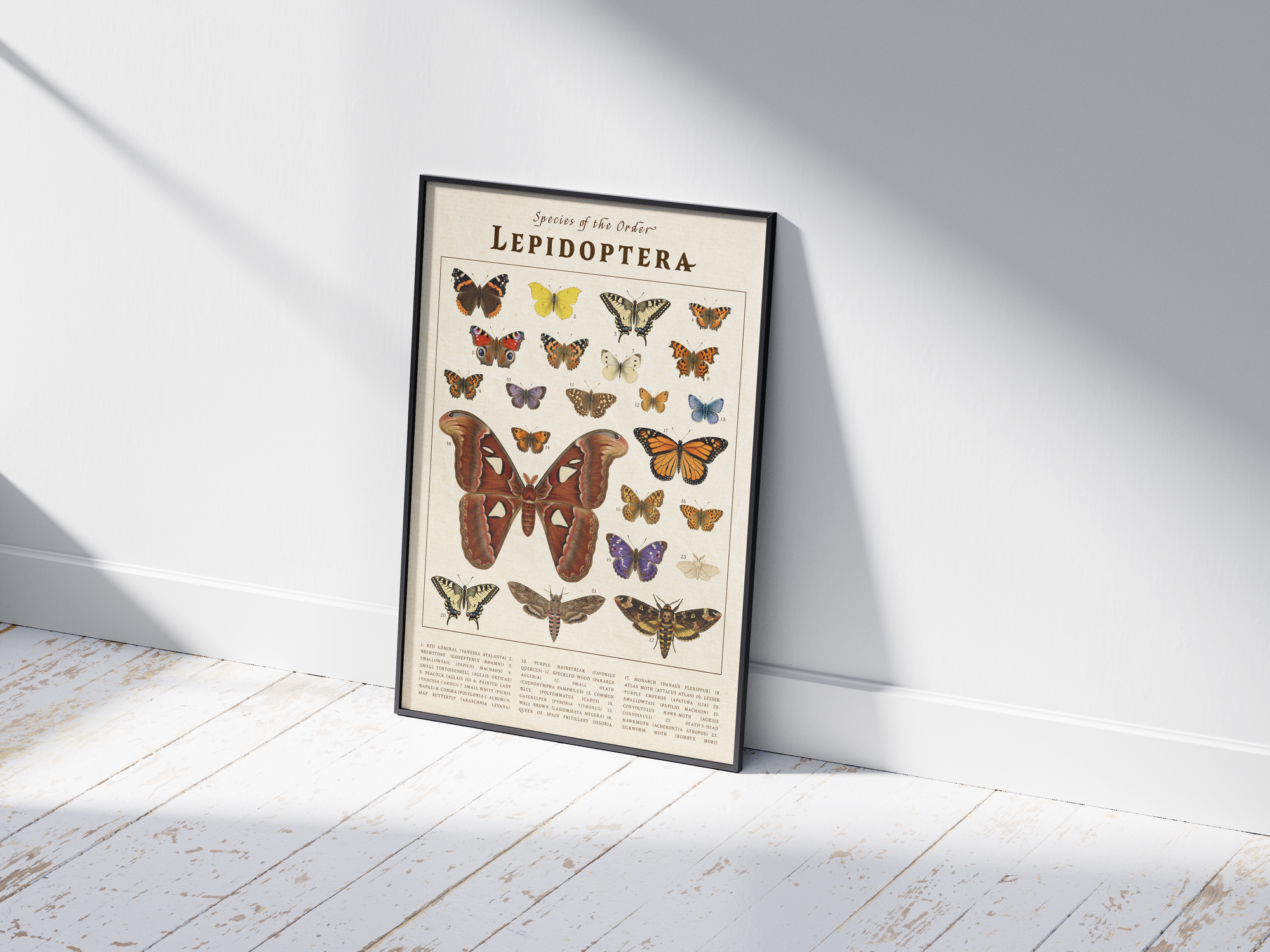 Vintage scientific Lepidoptera poster featuring detailed butterfly and moth species illustrations on an aged parchment background. High-quality wall art perfect for vintage, rustic, or dark academia interior styles.