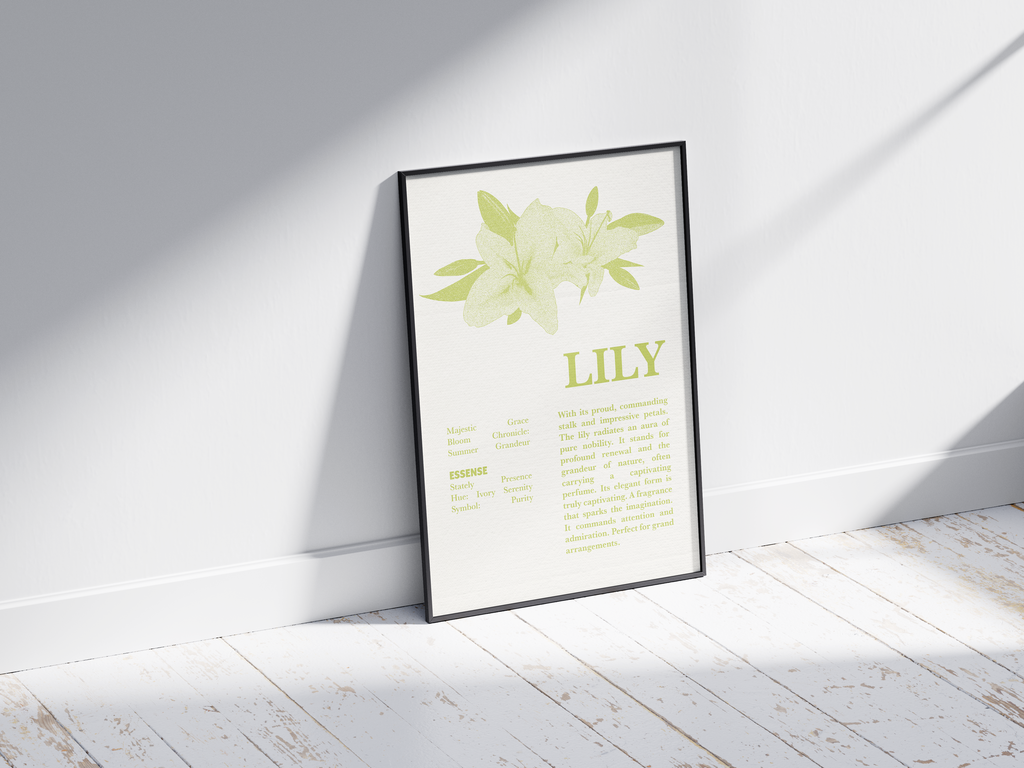 Vintage botanical lily poster featuring a detailed flower illustration in soft white tones, printed on semi-gloss sustainable paper. Perfect wall art for living rooms, bedrooms, or modern interiors with a pure and natural aesthetic.