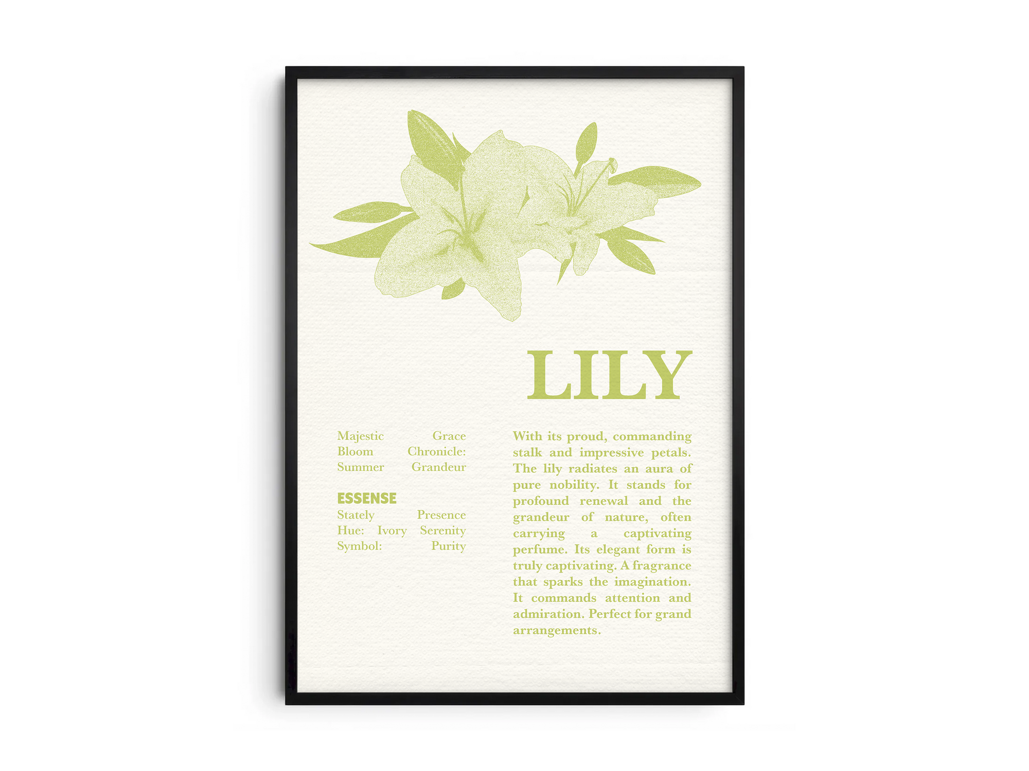 Vintage botanical lily poster featuring a detailed flower illustration in soft white tones, printed on semi-gloss sustainable paper. Perfect wall art for living rooms, bedrooms, or modern interiors with a pure and natural aesthetic.