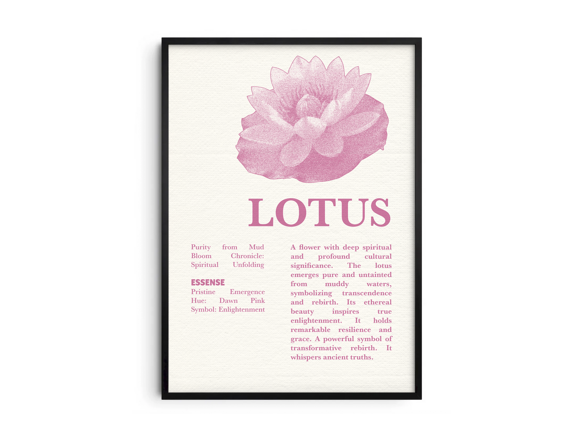 Vintage botanical lotus poster featuring a detailed flower illustration in soft pink tones, printed on semi-gloss sustainable paper. Perfect wall art for living rooms, meditation spaces, or modern interiors with a spiritual and natural aesthetic.