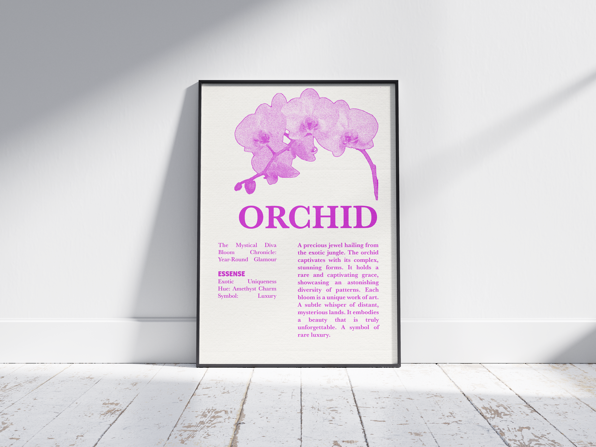 Vintage botanical orchid poster featuring a detailed flower illustration in soft white tones, printed on semi-gloss sustainable paper. Perfect wall art for living rooms, bedrooms, or modern interiors with an elegant and natural aesthetic.