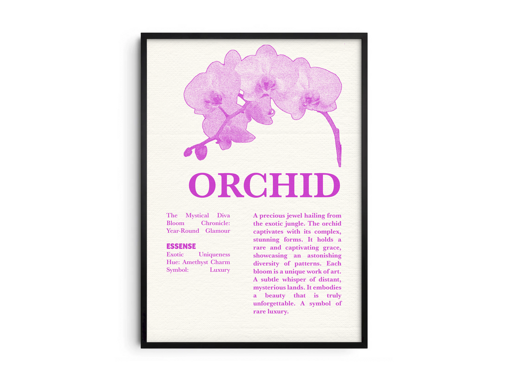 Vintage botanical orchid poster featuring a detailed flower illustration in soft white tones, printed on semi-gloss sustainable paper. Perfect wall art for living rooms, bedrooms, or modern interiors with an elegant and natural aesthetic.