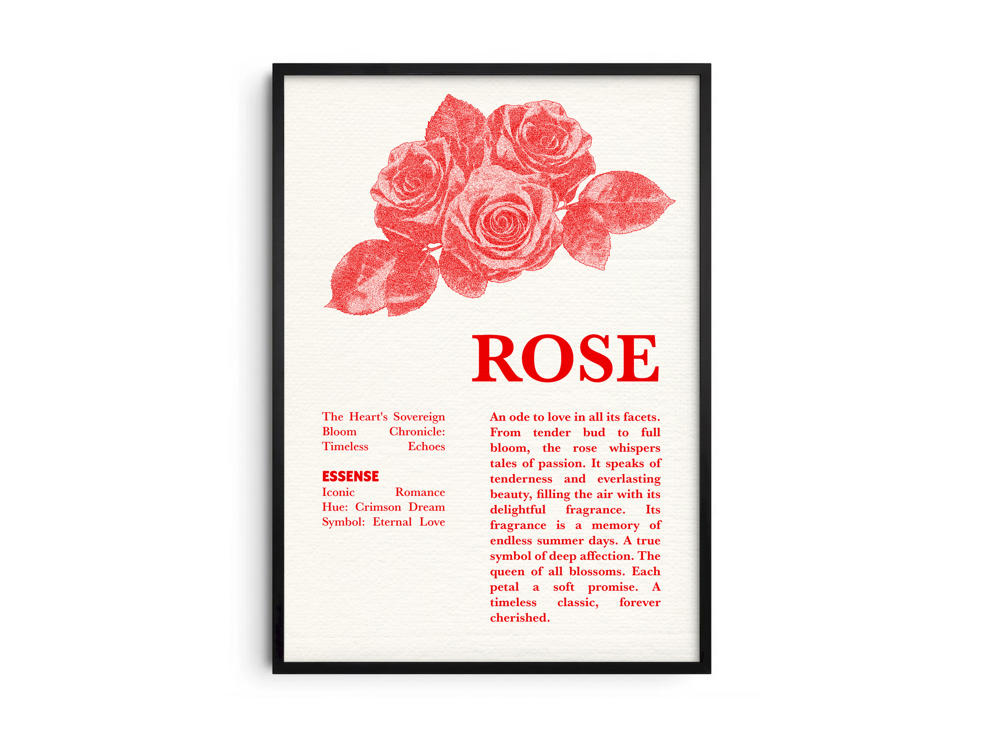 Vintage botanical rose poster featuring a detailed flower illustration in soft red tones, printed on semi-gloss sustainable paper. Perfect wall art for living rooms, bedrooms, or modern interiors with a romantic and natural aesthetic.