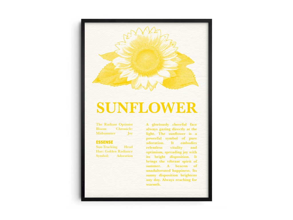 Vintage botanical sunflower poster featuring a detailed flower illustration in cheerful yellow tones, printed on semi-gloss sustainable paper. Perfect wall art for kitchens, dining areas, or modern interiors with a bright and natural aesthetic.