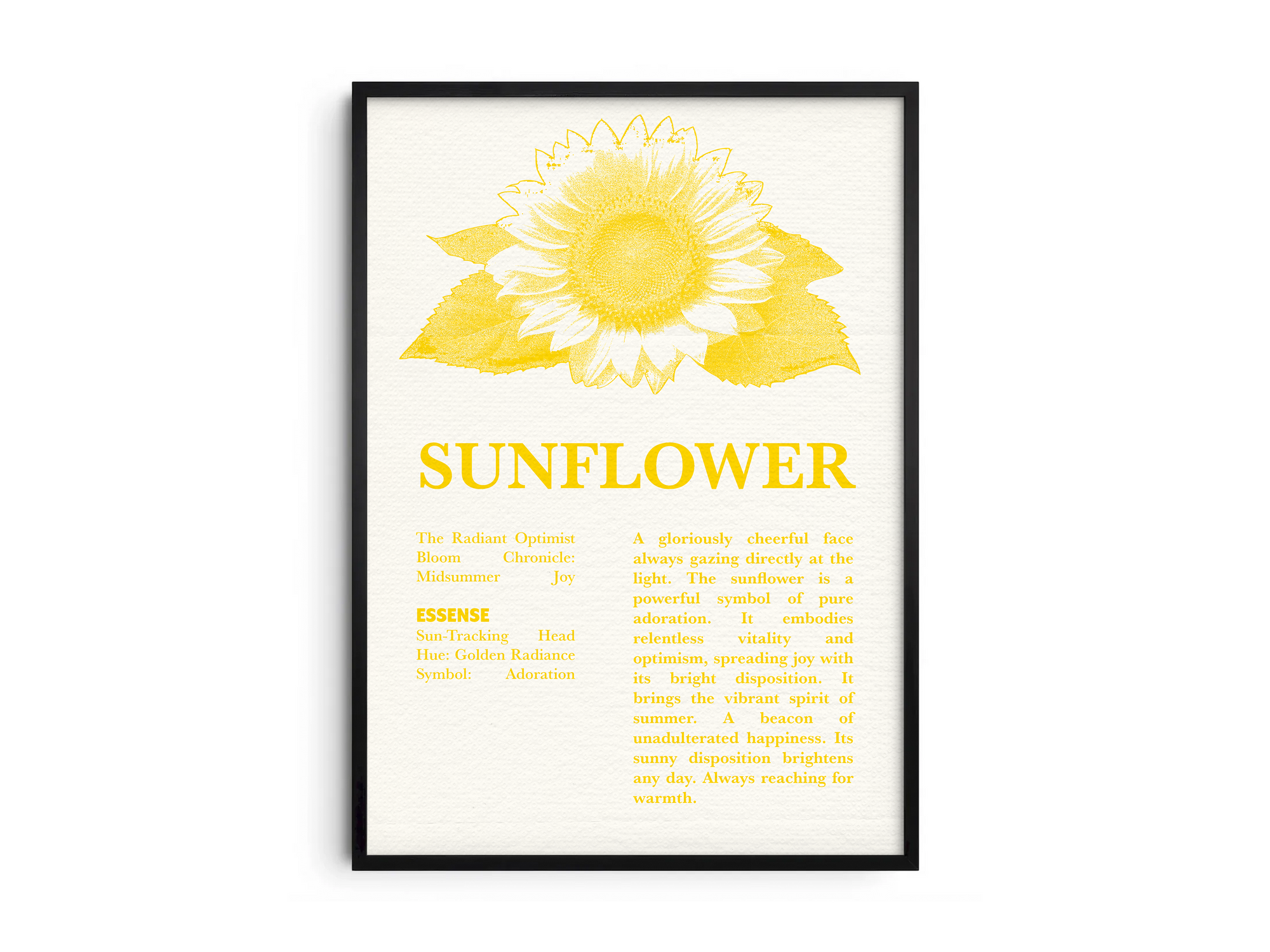 Vintage botanical sunflower poster featuring a detailed flower illustration in cheerful yellow tones, printed on semi-gloss sustainable paper. Perfect wall art for kitchens, dining areas, or modern interiors with a bright and natural aesthetic.