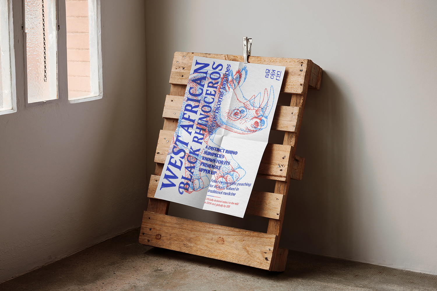 A poster of the West African Black Rhinoceros, Diceros bicornis longipes, with a red and blue anaglyph illustration, is clipped to a wooden shipping pallet leaning against a concrete wall near a window. The text identifies it as "WEST AFRICAN BLACK RHINOCEROS" and a "DISTINCT RHINO SUBSPECIES."