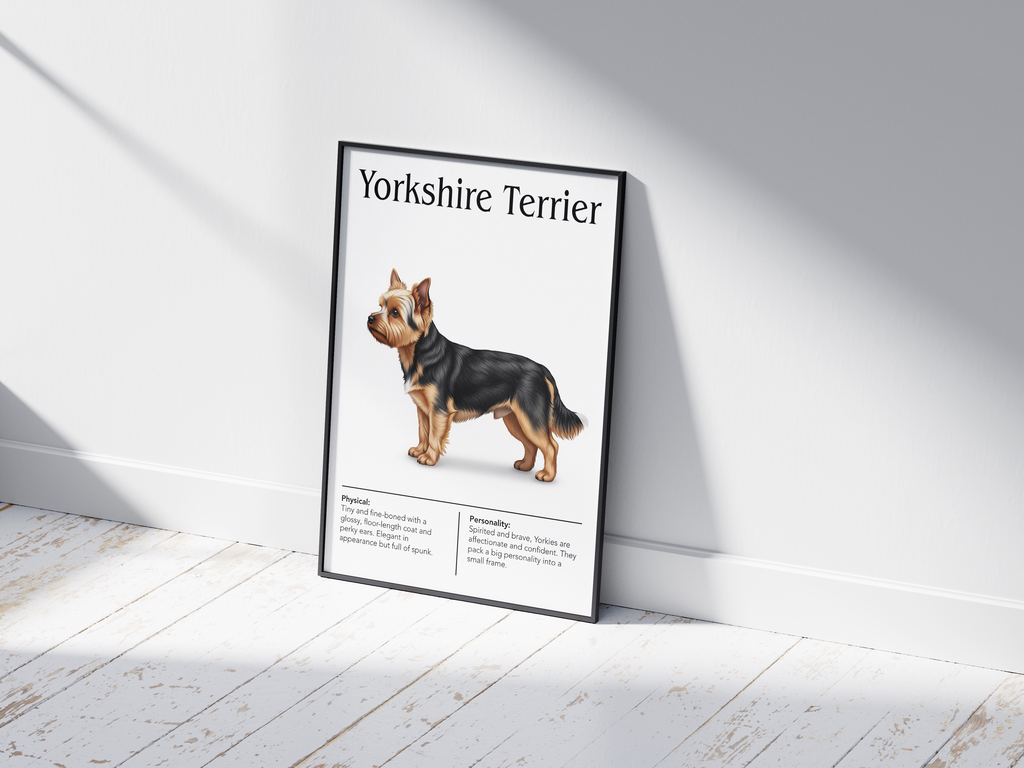 Detailed Yorkshire Terrier dog breed poster showcasing its silky coat and confident, affectionate personality traits, printed on semi-gloss sustainable paper. Perfect wall art for living rooms, bedrooms, or modern interiors with an elegant and spirited aesthetic.