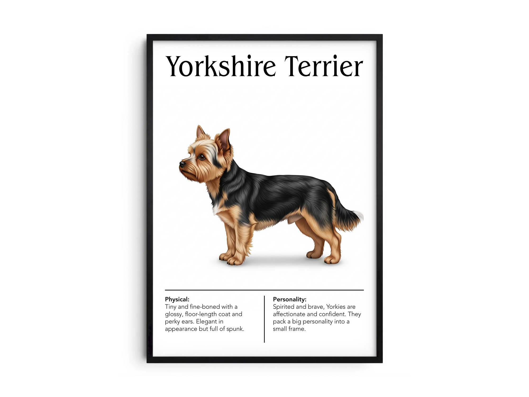 Detailed Yorkshire Terrier dog breed poster showcasing its silky coat and confident, affectionate personality traits, printed on semi-gloss sustainable paper. Perfect wall art for living rooms, bedrooms, or modern interiors with an elegant and spirited aesthetic.