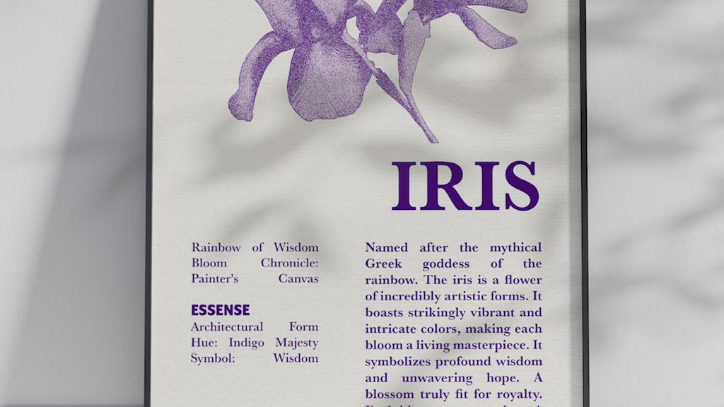 Vintage botanical iris poster featuring a detailed flower illustration in soft purple tones, printed on semi-gloss sustainable paper. Perfect wall art for living rooms, hallways, or modern interiors with a dignified and natural aesthetic.
