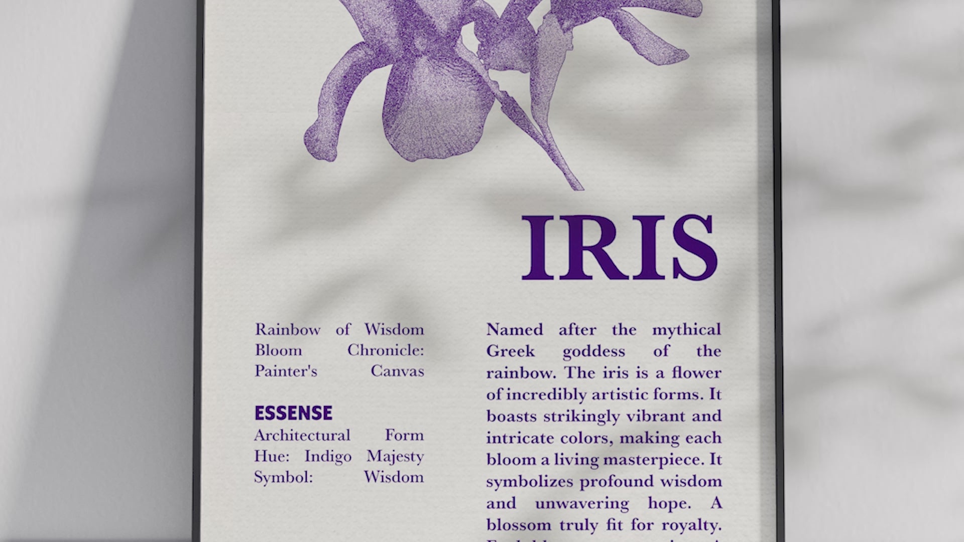 Vintage botanical iris poster featuring a detailed flower illustration in soft purple tones, printed on semi-gloss sustainable paper. Perfect wall art for living rooms, hallways, or modern interiors with a dignified and natural aesthetic.