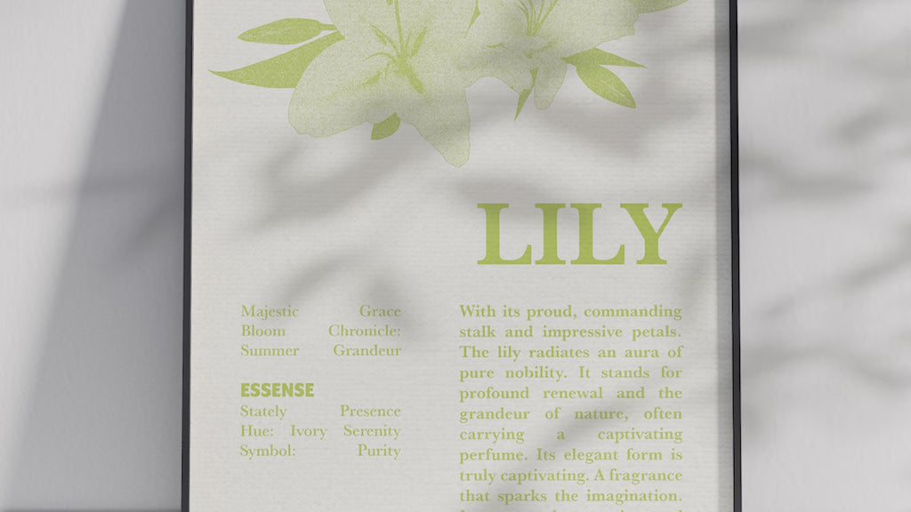 Vintage botanical lily poster featuring a detailed flower illustration in soft white tones, printed on semi-gloss sustainable paper. Perfect wall art for living rooms, bedrooms, or modern interiors with a pure and natural aesthetic.