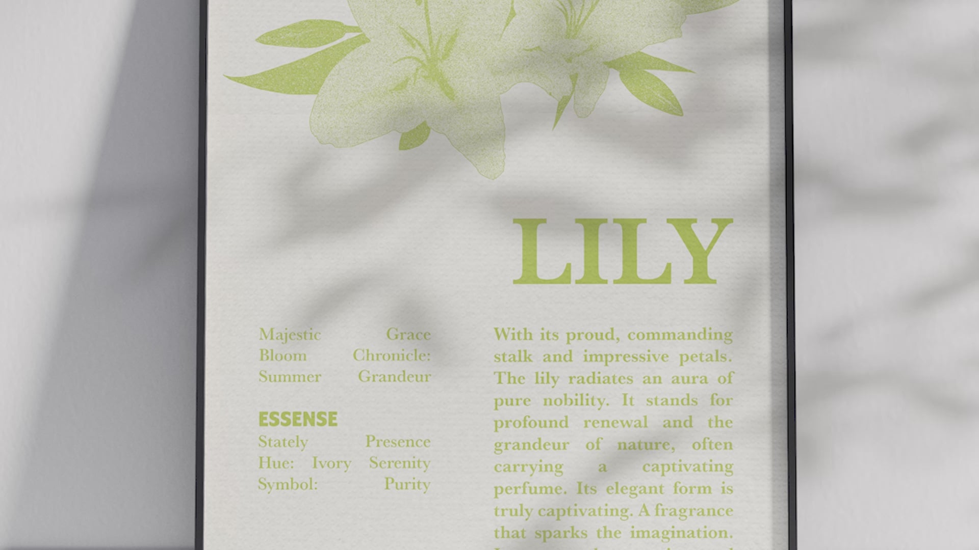Vintage botanical lily poster featuring a detailed flower illustration in soft white tones, printed on semi-gloss sustainable paper. Perfect wall art for living rooms, bedrooms, or modern interiors with a pure and natural aesthetic.