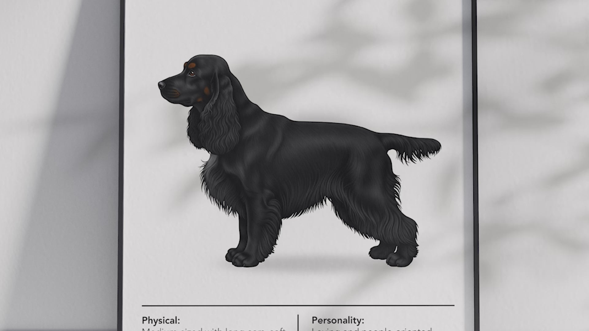 Detailed Cocker Spaniel dog breed poster showcasing its soft features and merry, affectionate personality traits, printed on semi-gloss sustainable paper. Perfect wall art for living rooms, family rooms, or modern interiors with a gentle and cheerful aesthetic.