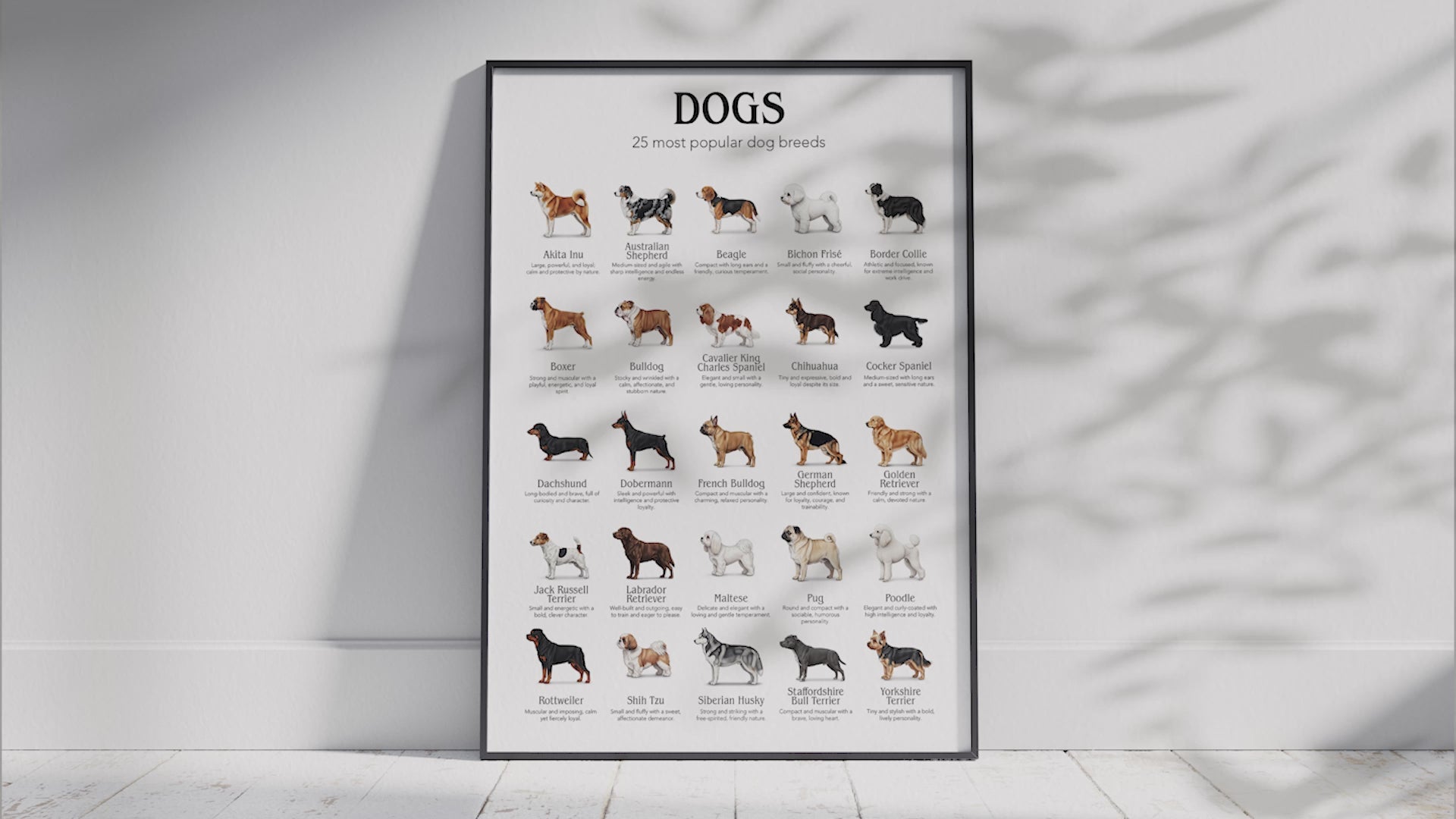 Detailed poster featuring illustrations of the 25 most popular dog breeds, printed on semi-gloss sustainable paper. Ideal wall art for dog lovers, family homes, or modern interiors with a playful and informative aesthetic.