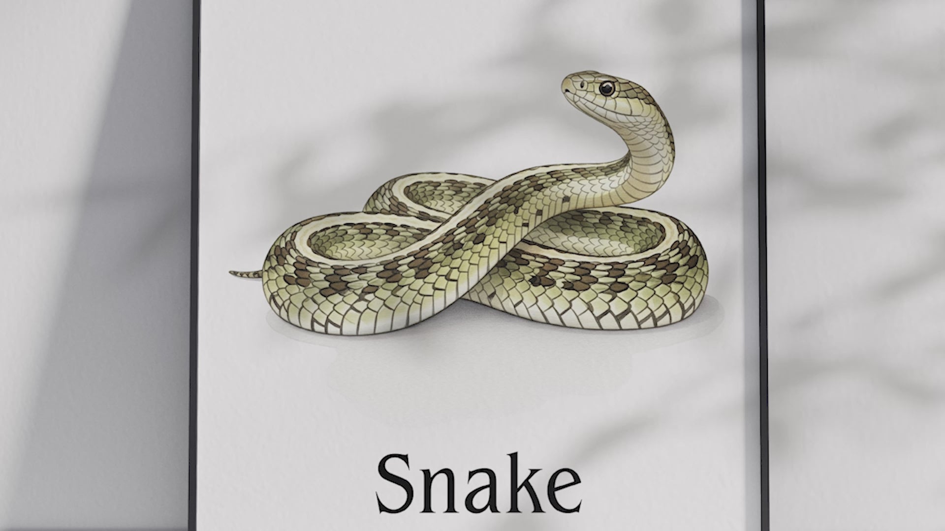 Detailed hand-illustrated Educational Snake Animal Poster for the letter 'S', printed on semi-gloss sustainable paper. Perfect wall art for children's rooms, nurseries, or playrooms with an educational and nature-inspired aesthetic.
