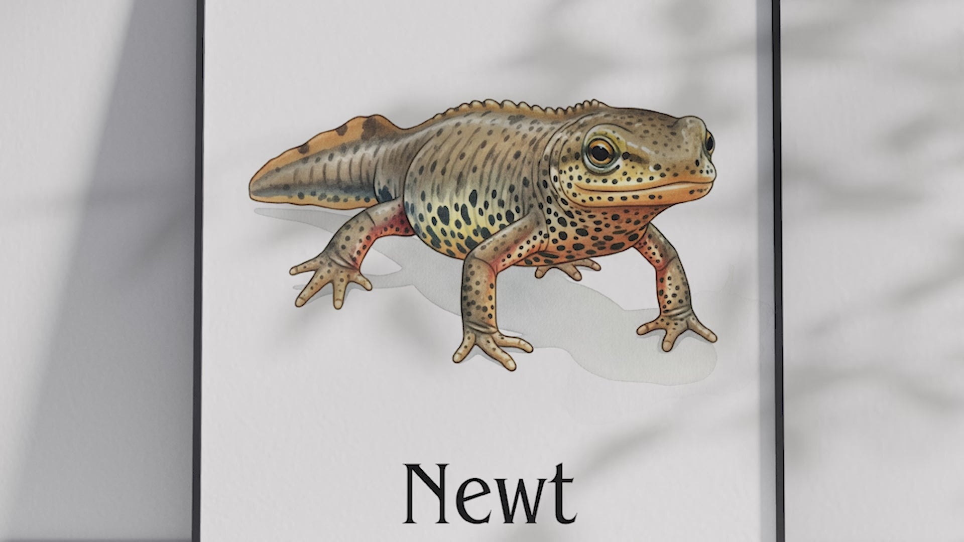 Detailed hand-illustrated Educational Newt Animal Poster for the letter 'N', printed on semi-gloss sustainable paper. Perfect wall art for children's rooms, nurseries, or playrooms with an educational and nature-inspired aesthetic.
