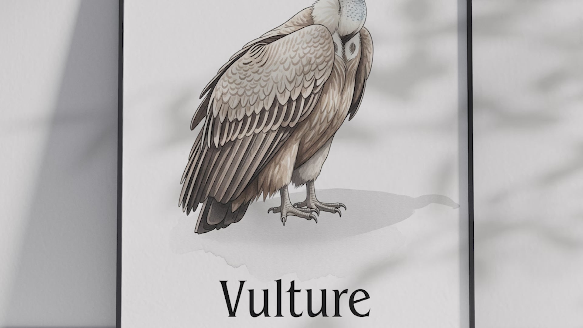 Detailed hand-illustrated Educational Vulture Animal Poster for the letter 'V', printed on semi-gloss sustainable paper. Perfect wall art for children's rooms, nurseries, or playrooms with an educational and nature-inspired aesthetic.