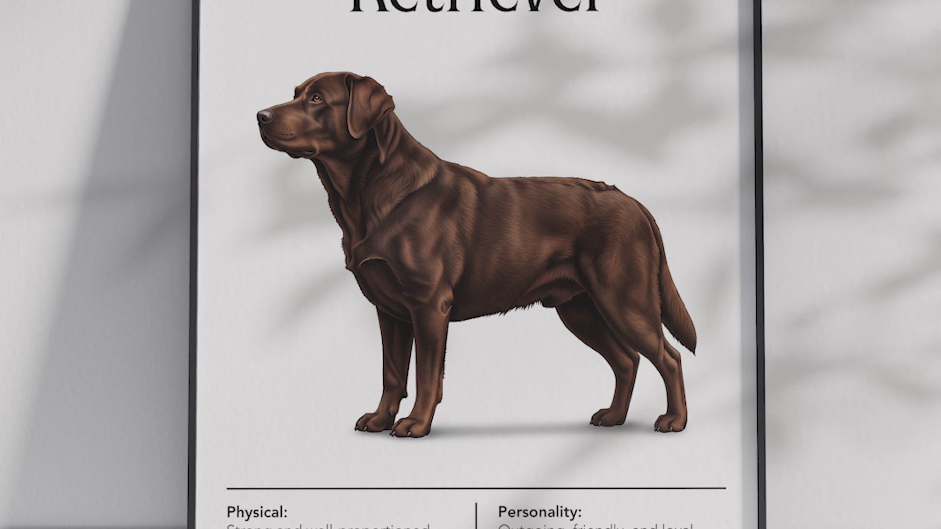 Detailed Labrador Retriever dog breed poster showcasing its friendly expression and loyal, gentle personality traits, printed on semi-gloss sustainable paper. Perfect wall art for family rooms, living rooms, or modern interiors with a warm and inviting aesthetic.