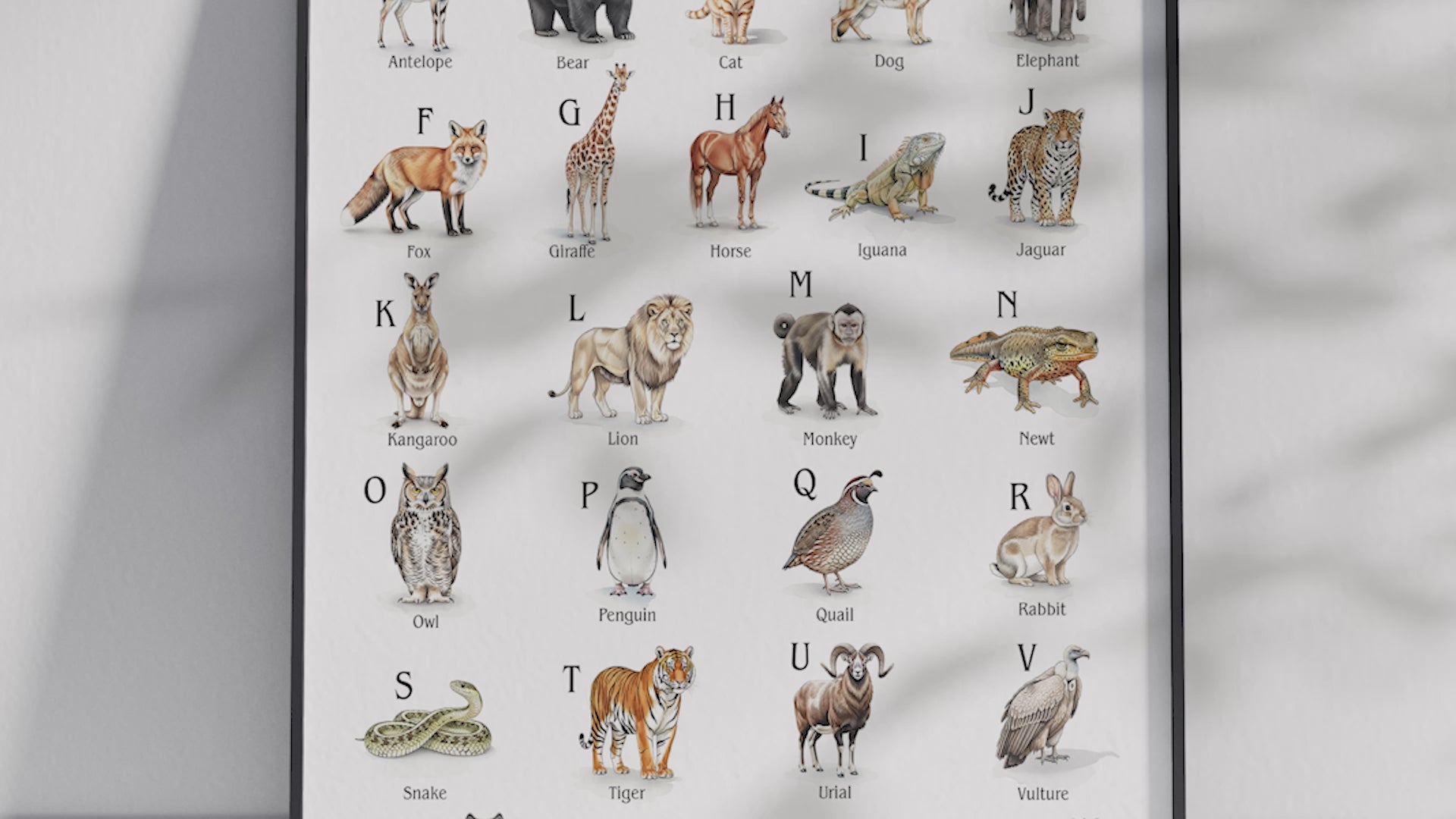 Educational animal alphabet poster featuring 26 detailed animal illustrations for each letter, printed on semi-gloss sustainable paper. Perfect wall art for children's rooms, nurseries, or playrooms with a fun and educational aesthetic.