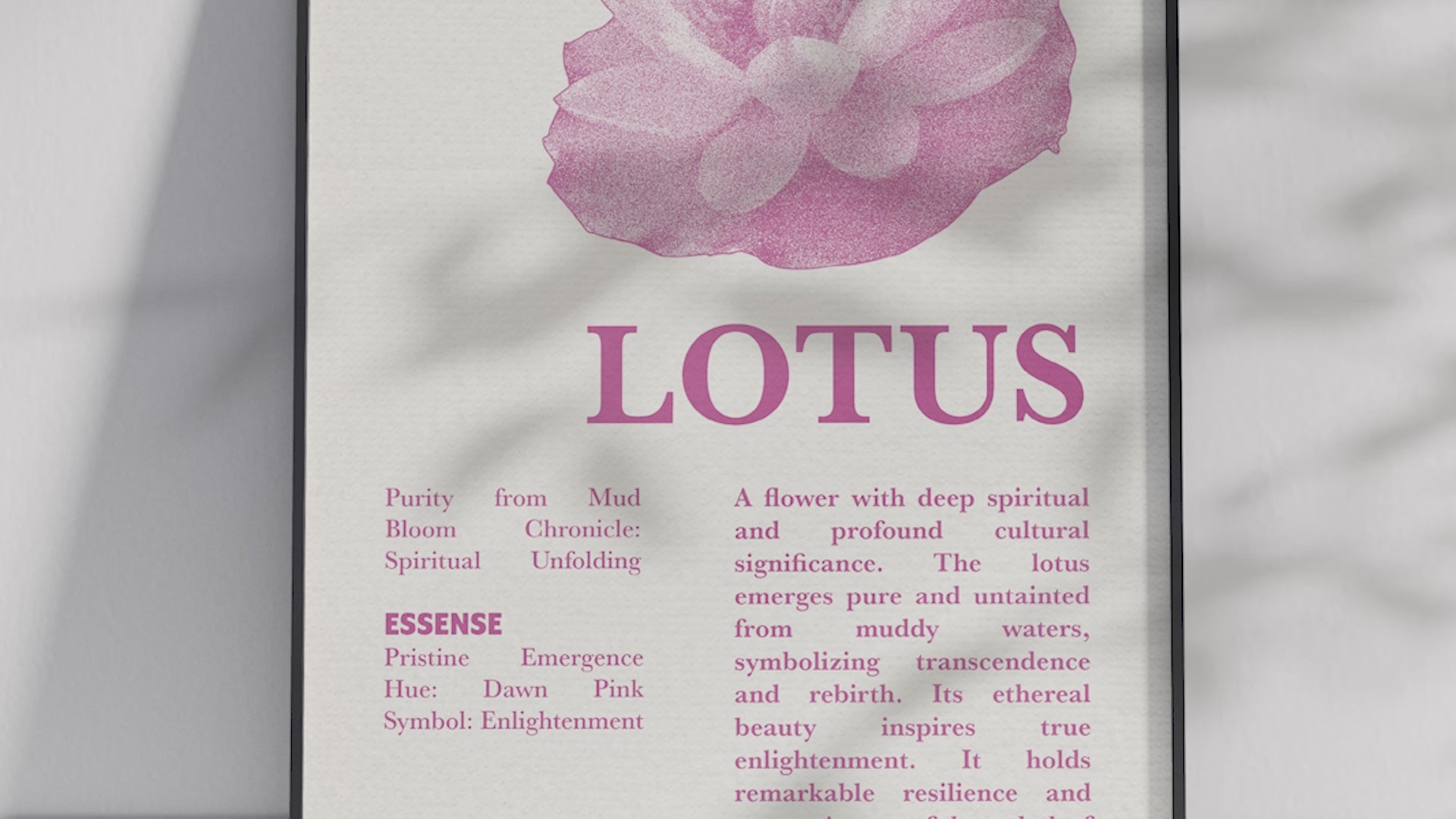 Vintage botanical lotus poster featuring a detailed flower illustration in soft pink tones, printed on semi-gloss sustainable paper. Perfect wall art for living rooms, meditation spaces, or modern interiors with a spiritual and natural aesthetic.