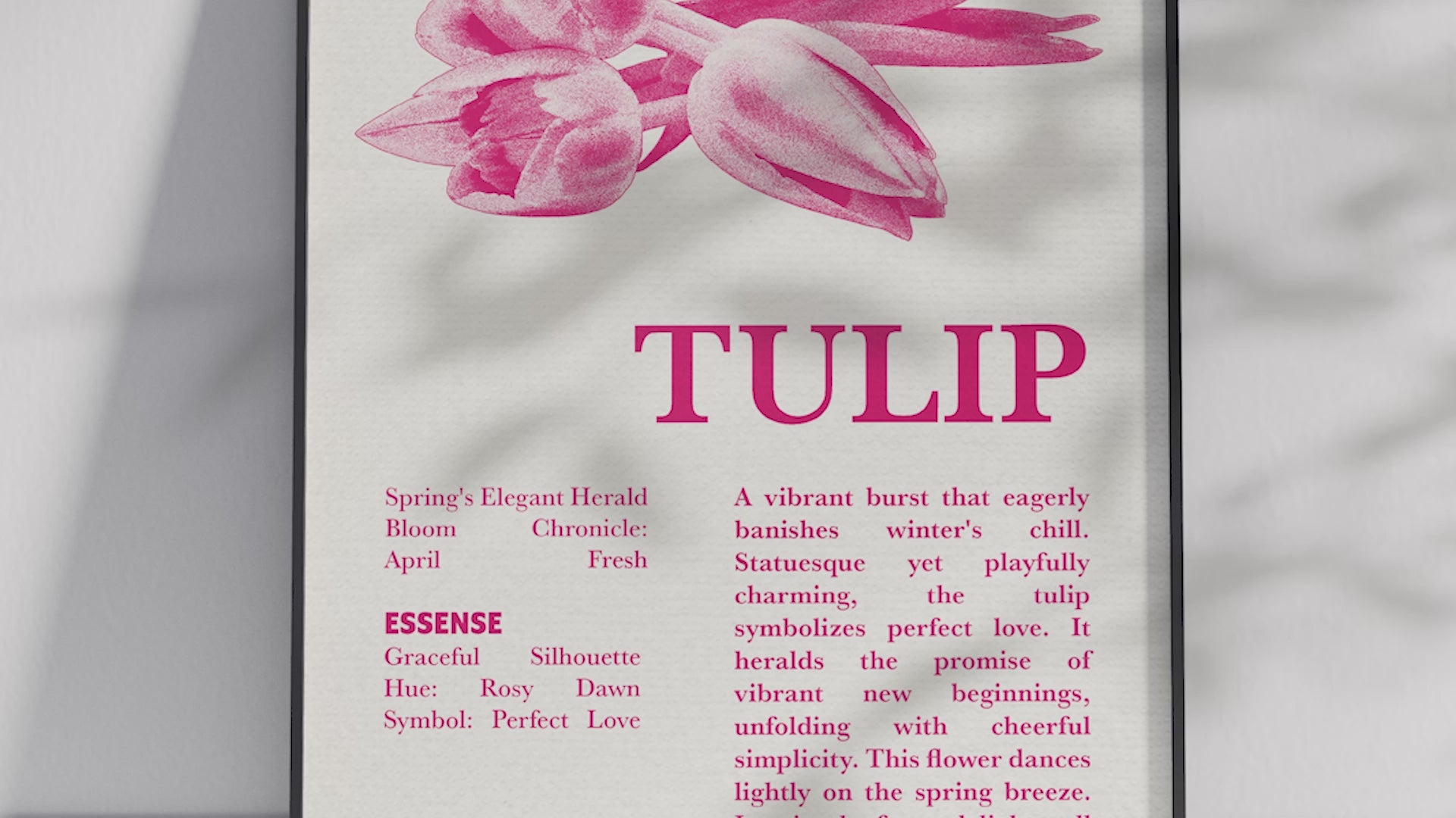 Vintage botanical tulip poster featuring a detailed flower illustration in soft red tones, printed on semi-gloss sustainable paper. Perfect wall art for living rooms, bedrooms, or modern interiors with a loving and natural aesthetic.