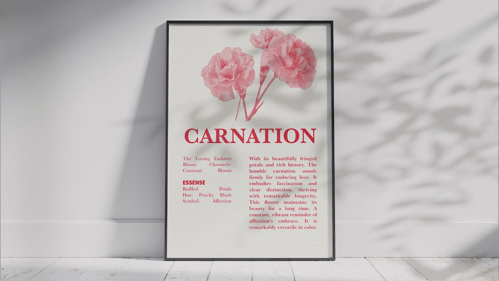 A curated collection of twelve vintage botanical flower art prints, featuring detailed illustrations of carnation, daisy, tulip, hydrangea, iris, peony, freesia, lotus, rose, sunflower, orchid, and lily. Each floral poster is framed in black, displayed on a white wall, showcasing a diverse range of colors and bloom types, perfect for gallery walls or adding a touch of nature-inspired decor to any home.