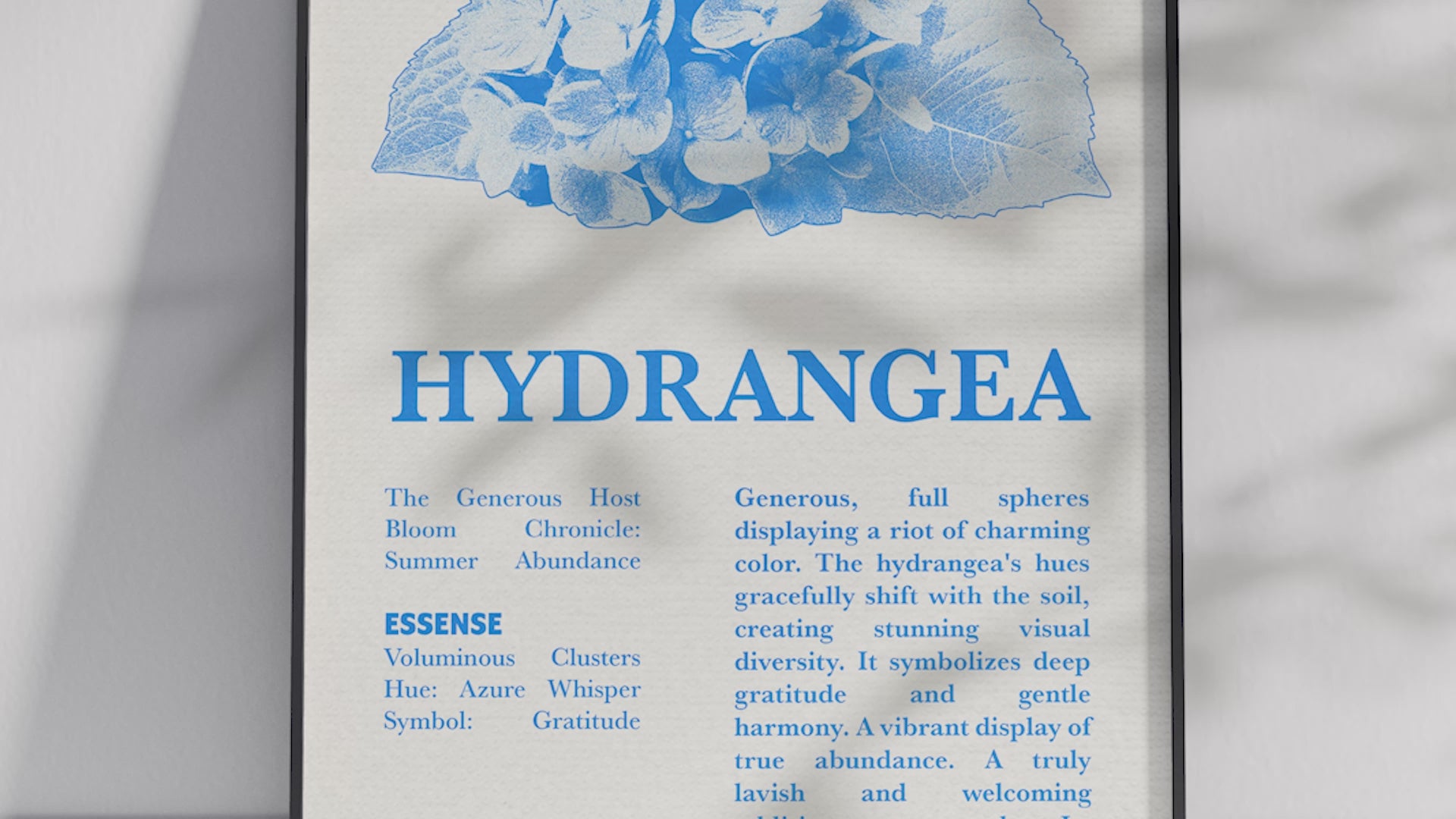 Vintage botanical hydrangea poster featuring a detailed flower illustration in soft blue tones, printed on semi-gloss sustainable paper. Perfect wall art for living rooms, dining areas, or modern interiors with a heartfelt and natural aesthetic.