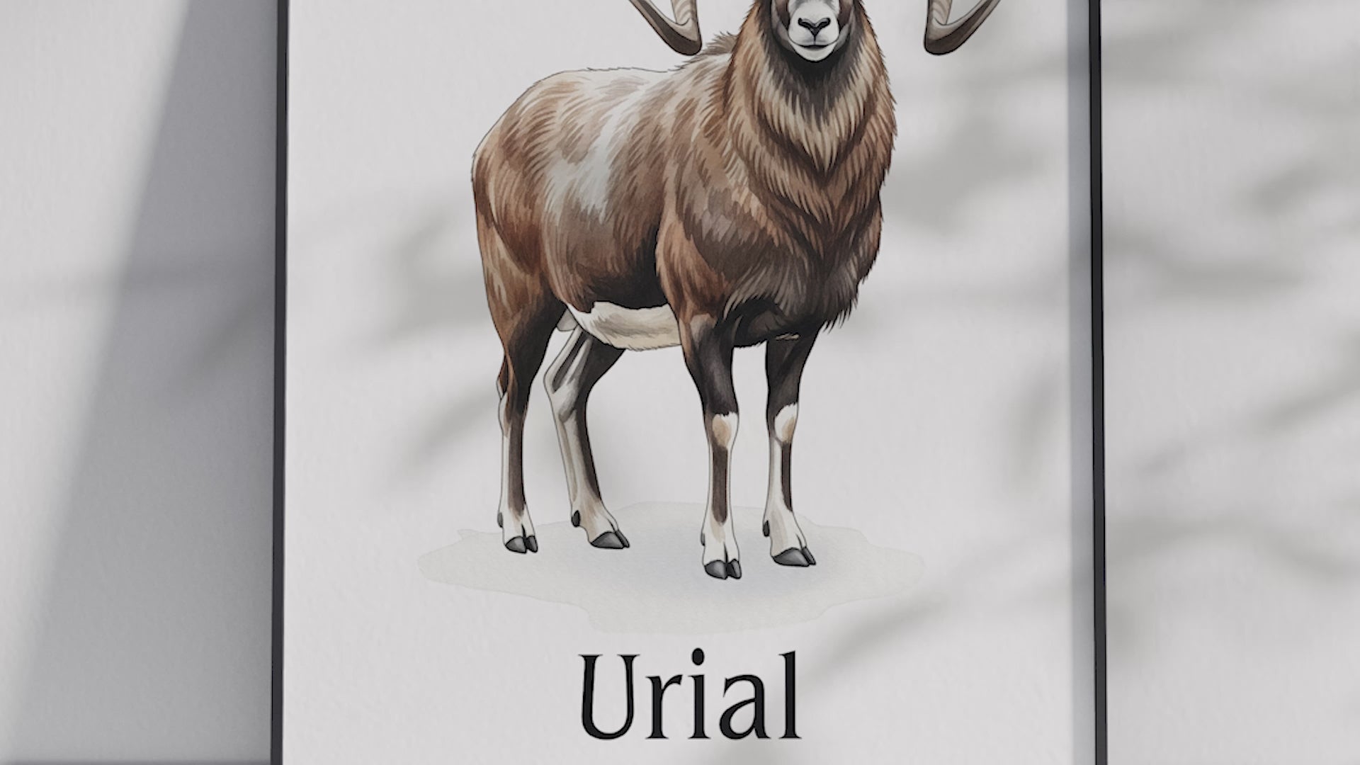 Detailed hand-illustrated Educational Urial Animal Poster for the letter 'U', printed on semi-gloss sustainable paper. Perfect wall art for children's rooms, nurseries, or playrooms with an educational and nature-inspired aesthetic.