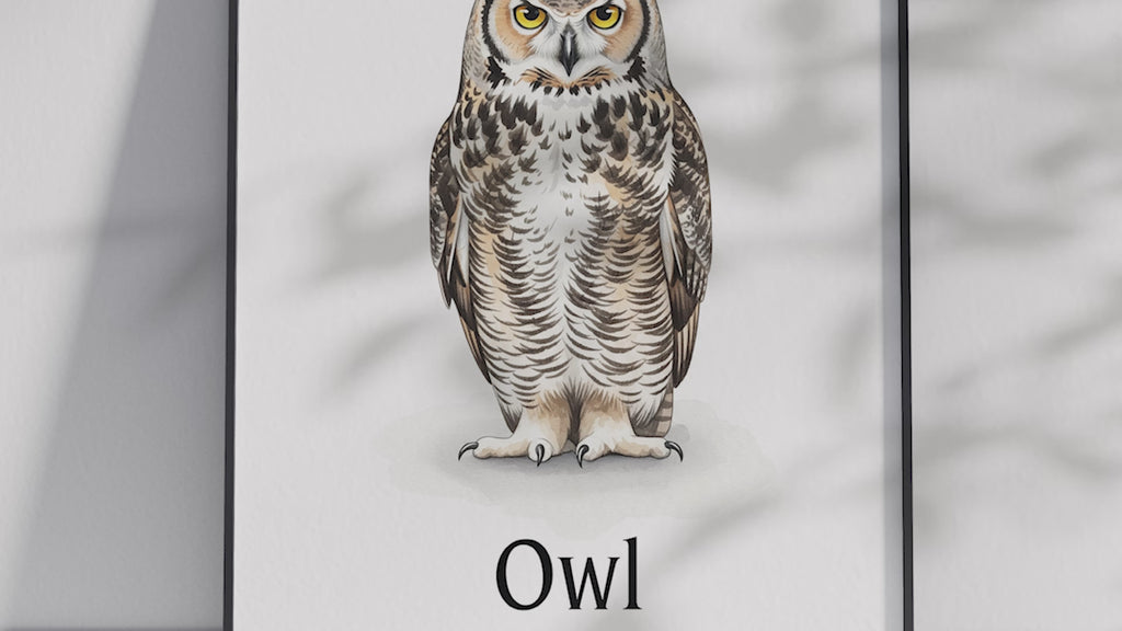 Detailed hand-illustrated Educational Owl Animal Poster for the letter 'O', printed on semi-gloss sustainable paper. Perfect wall art for children's rooms, nurseries, or playrooms with an educational and nature-inspired aesthetic.