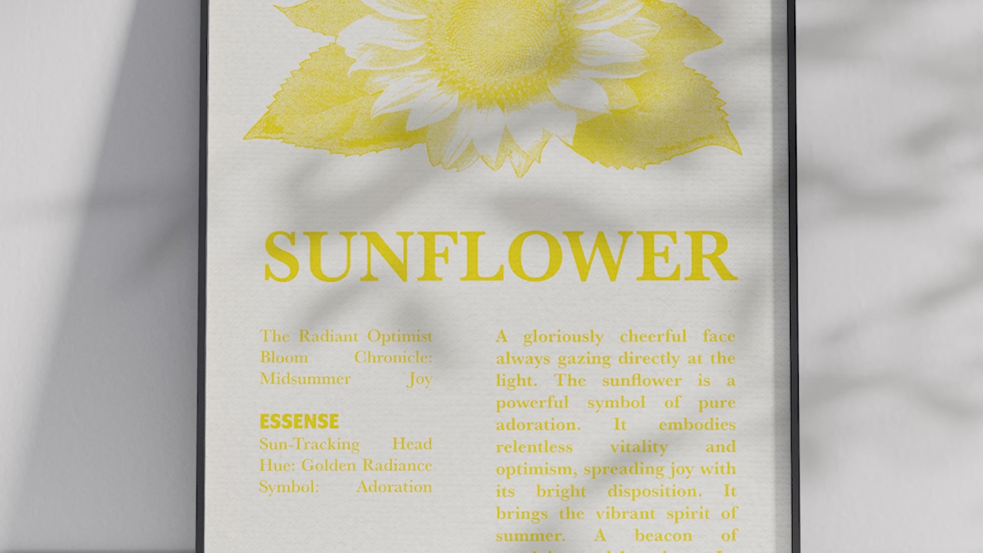 Vintage botanical sunflower poster featuring a detailed flower illustration in cheerful yellow tones, printed on semi-gloss sustainable paper. Perfect wall art for kitchens, dining areas, or modern interiors with a bright and natural aesthetic.